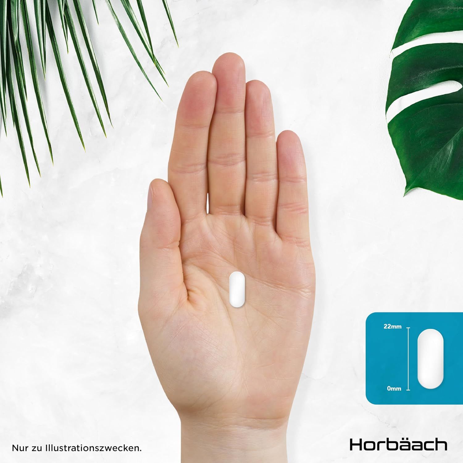 Horbäach Glucosaminsulfat