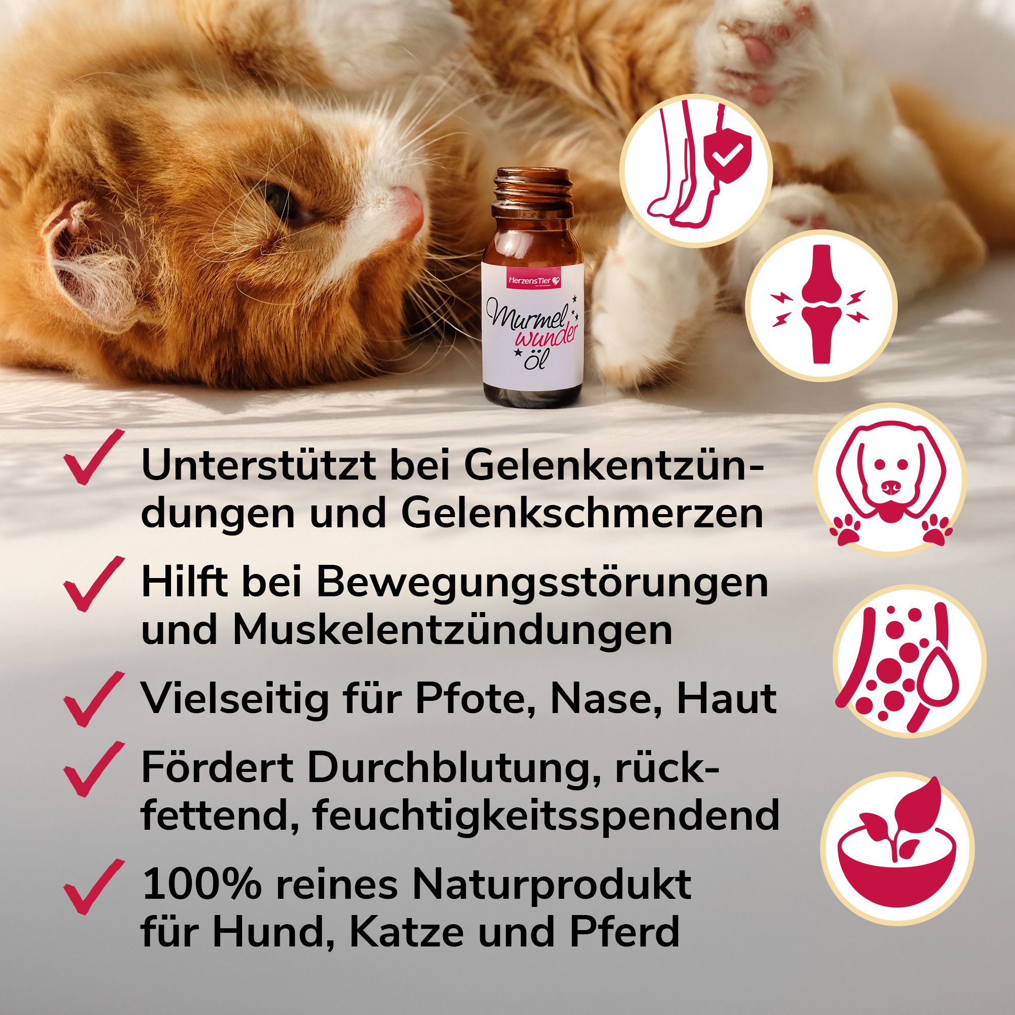 HerzensTier Murmelwunderöl für Hunde, Katzen & Pferde