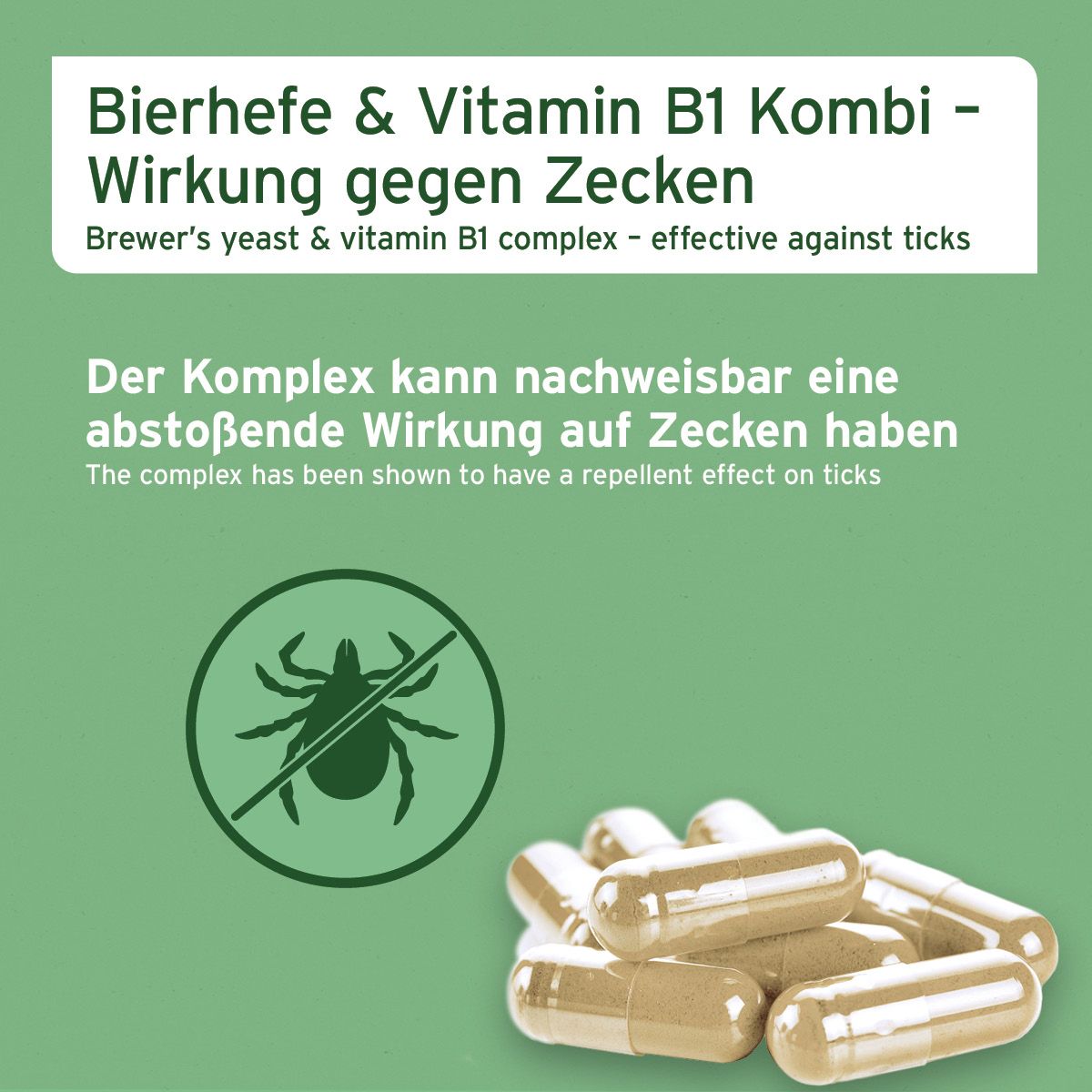 Text auf grünem Hintergrund. Text: Bierhefe & Vitamin B1 Komplex. Wirkung gegen Zecken. Logo: Zecke durchgestrichen. Kapseln.