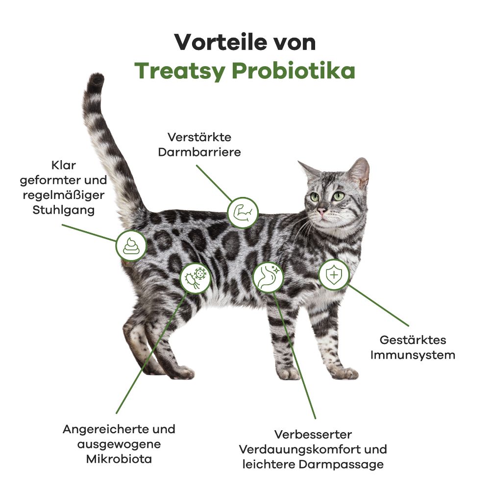 Katze mit Illustrationen zu den Vorteilen von Treatsy Probiotika: Darm, Immunsystem, etc.