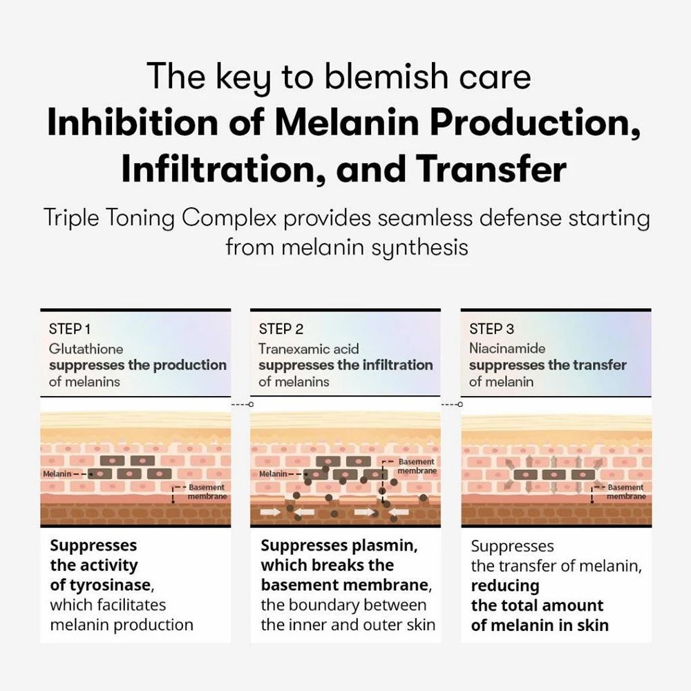 Grafik zeigt drei Schritte zur Hemmung der Melaninproduktion, -infiltration und -übertragung in der Haut.