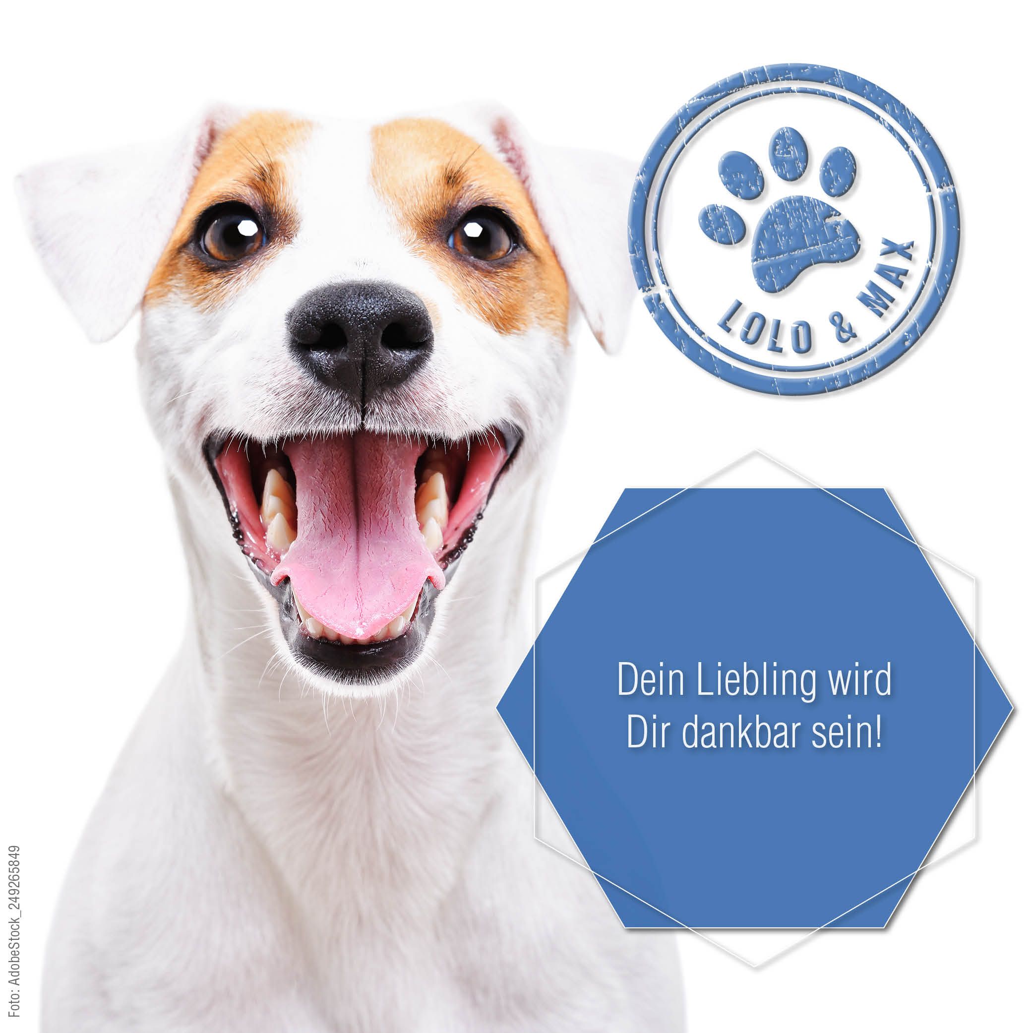 Lolo & Max - Gelenk Aktiv - Tropfen für Hunde und Katzen - 250ml