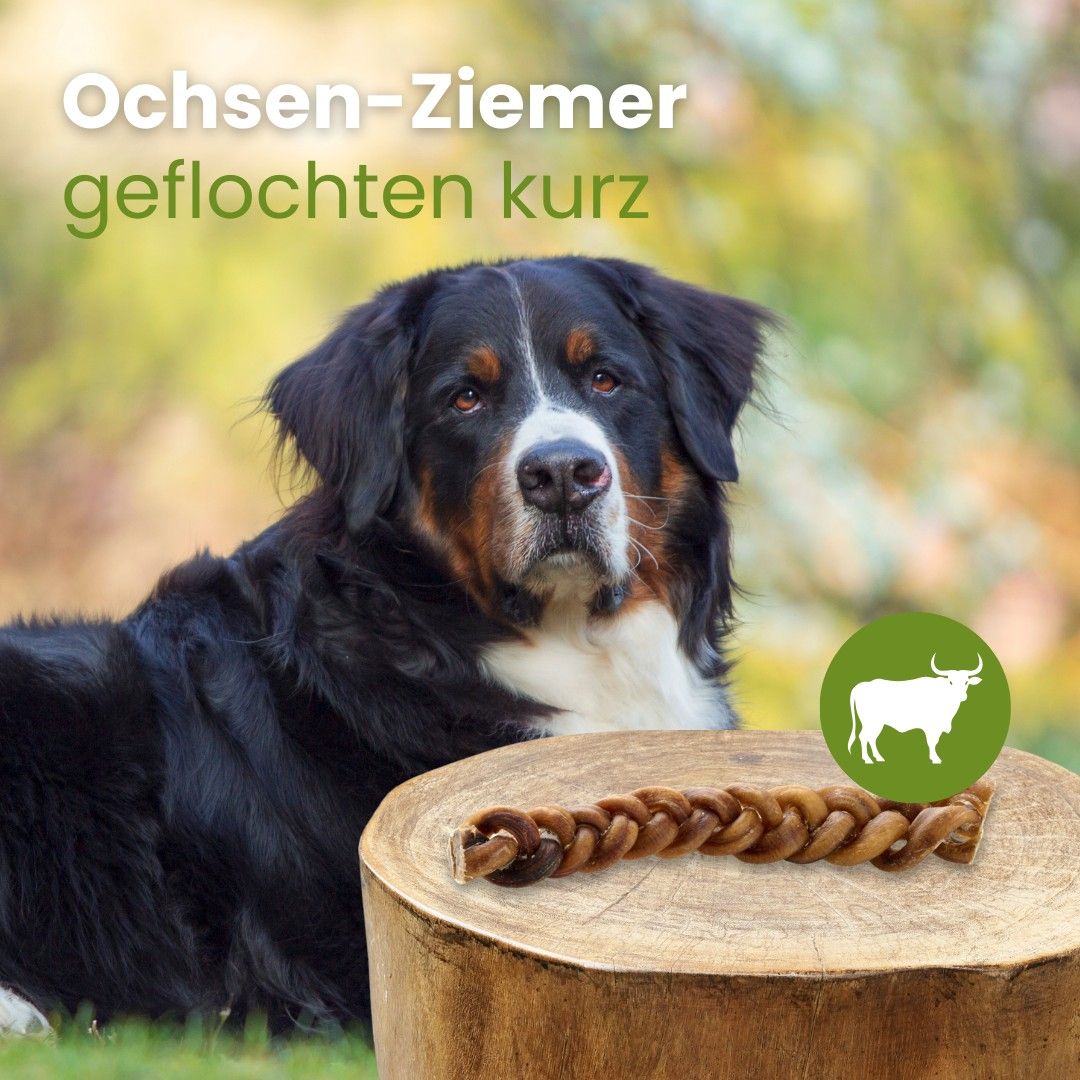 Geflochtener Ochsenziemer, 100% Rind, für artgerechte Ernährung.