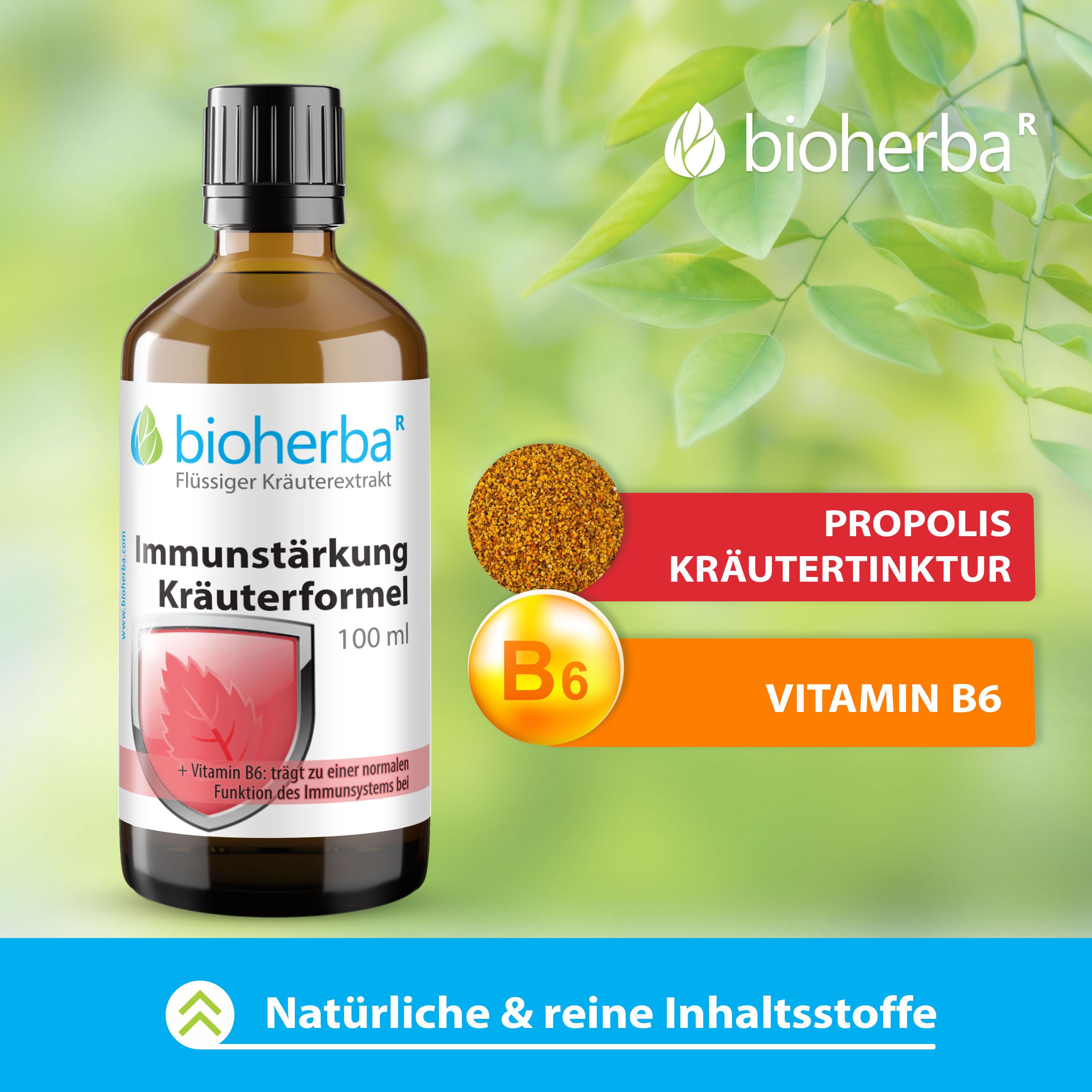 Braune Glasflasche mit schwarzem Deckel. Produktname: Immunität Kräuterformel. Enthält Vitamin B6. Zusätzliche Elemente: Propolis, Vitamin B6.