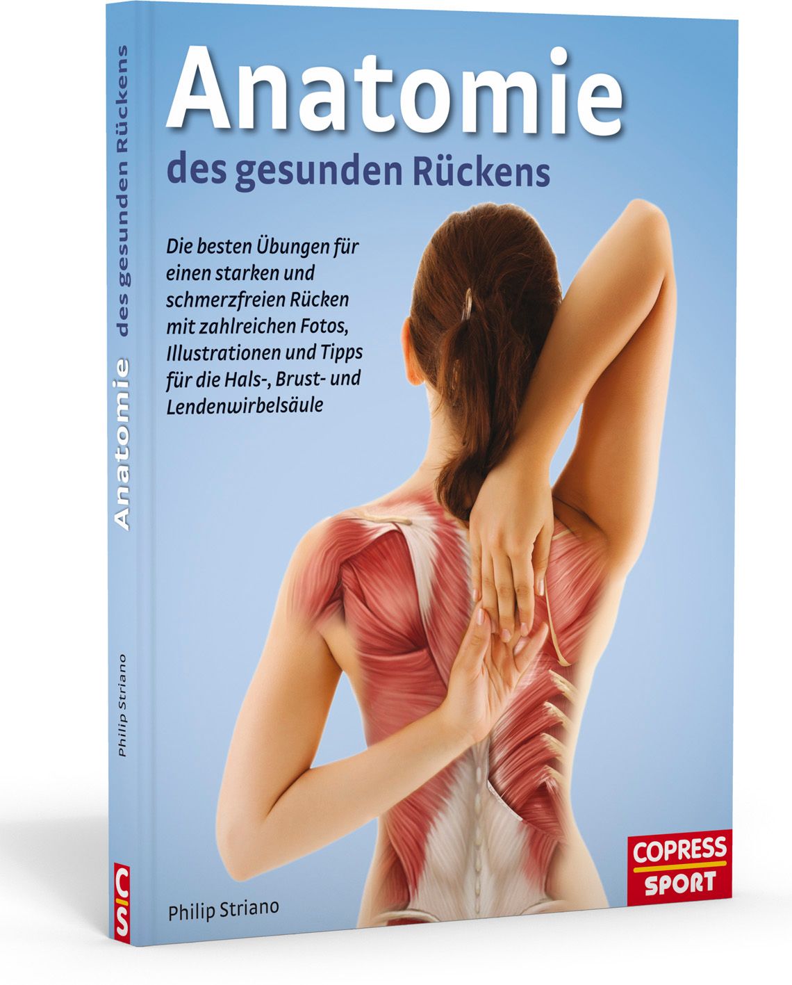 Anatomie des gesunden Rückens