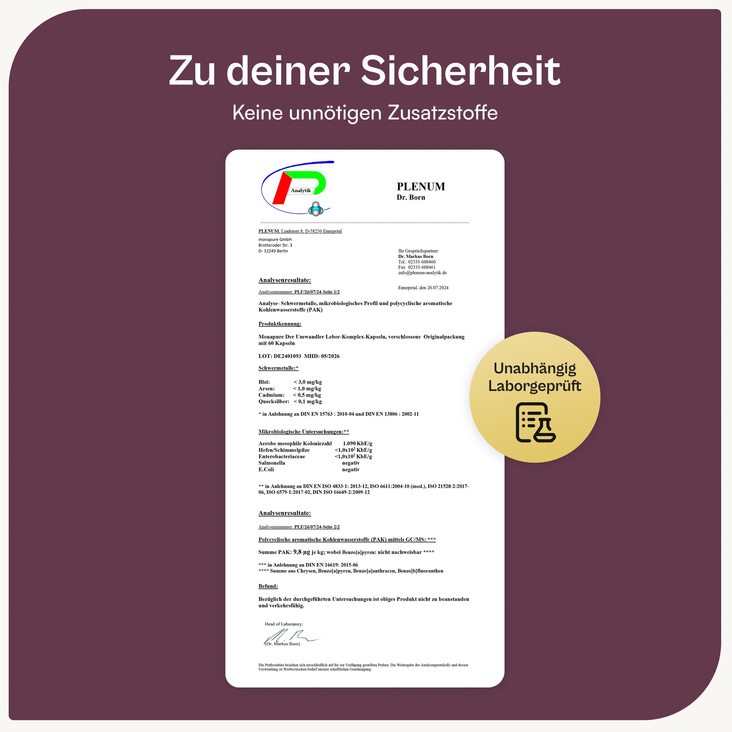 miavola der Umwandler