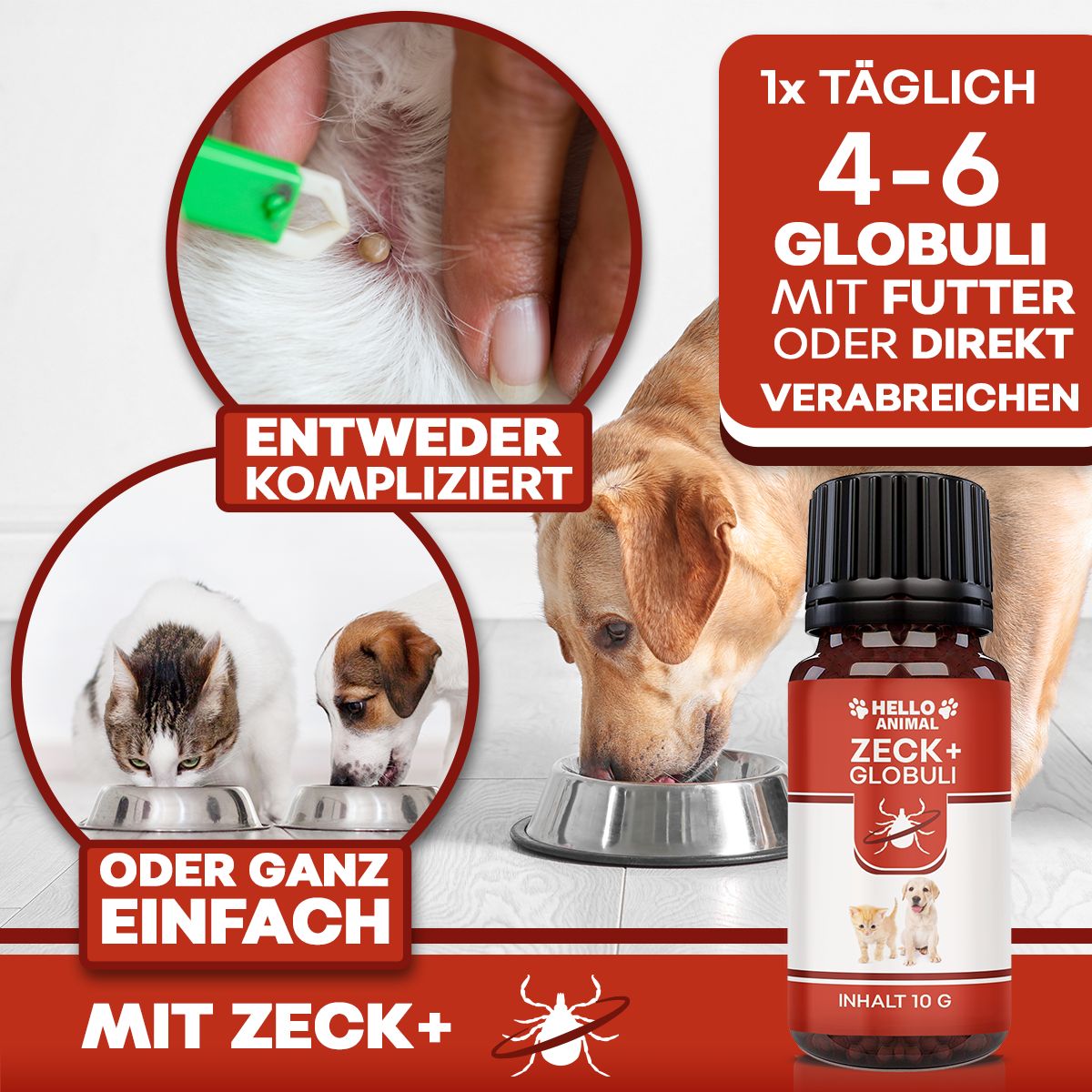 Produktflasche neben Bildern. Bilder zeigen Fütterung, Anwendung. Text: 4-6 Globuli mit Futter oder direkt verabreichen.