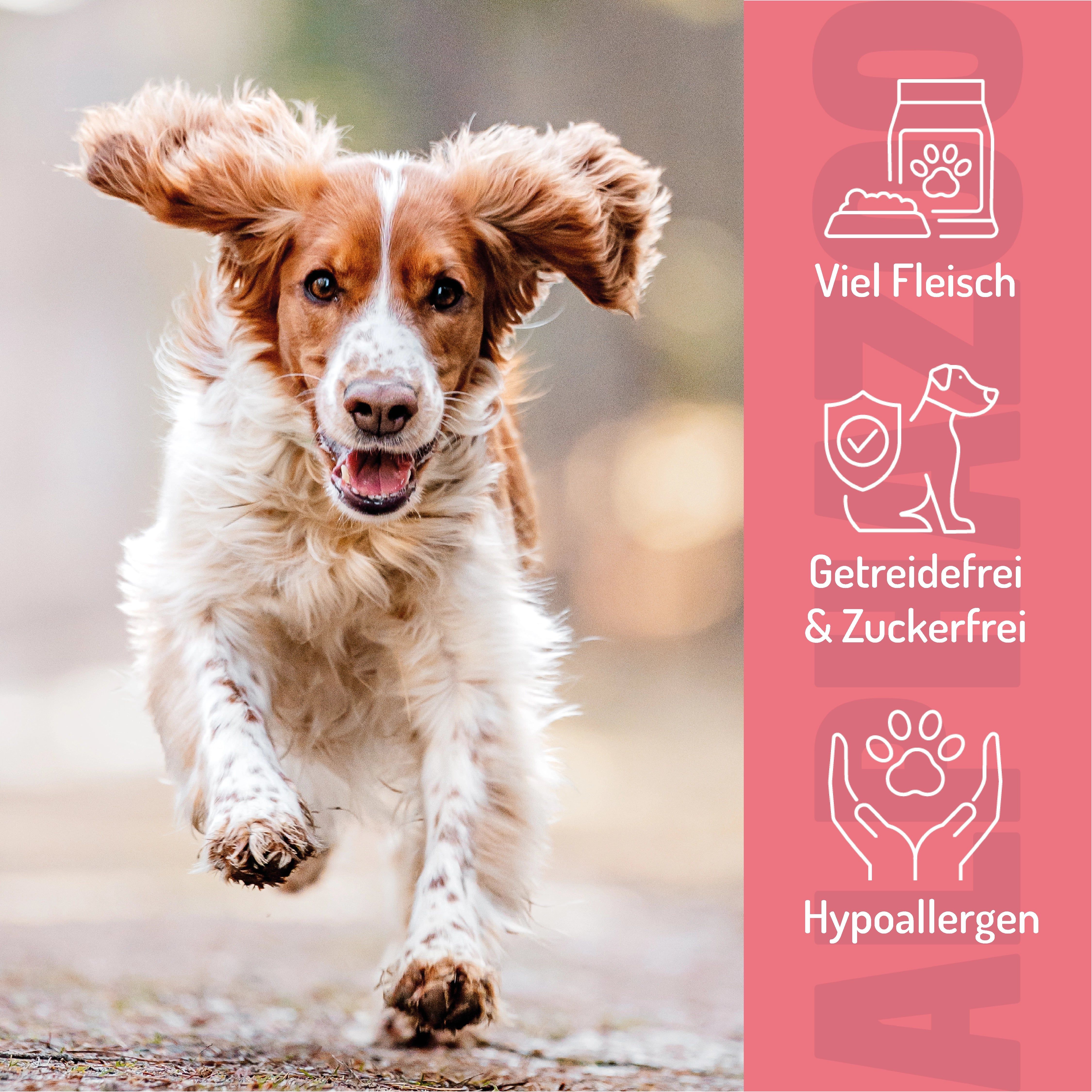 Hund rennt. Text: Viel Fleisch, getreidefrei & zuckerfrei, hypoallergen.