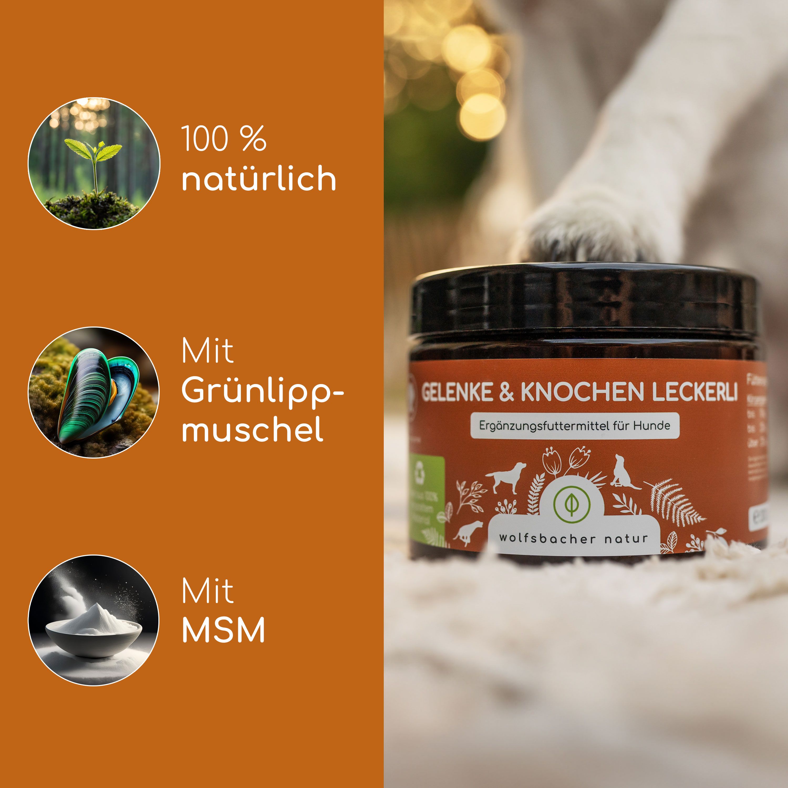 Produkt mit Inhaltsstoffen: Grünlippmuschel und MSM. Auf dem Glas steht "Gelenke & Knochen Leckerli" und "wolfsbacher natur".