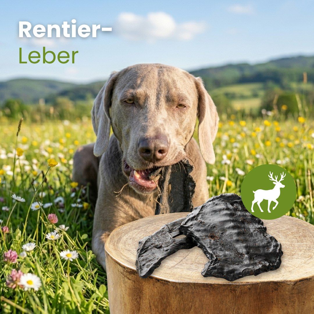 Getrocknete Rentierleberstücke. Hoher Proteingehalt, 100% Rentier. Schonend getrocknet, hypoallergen.