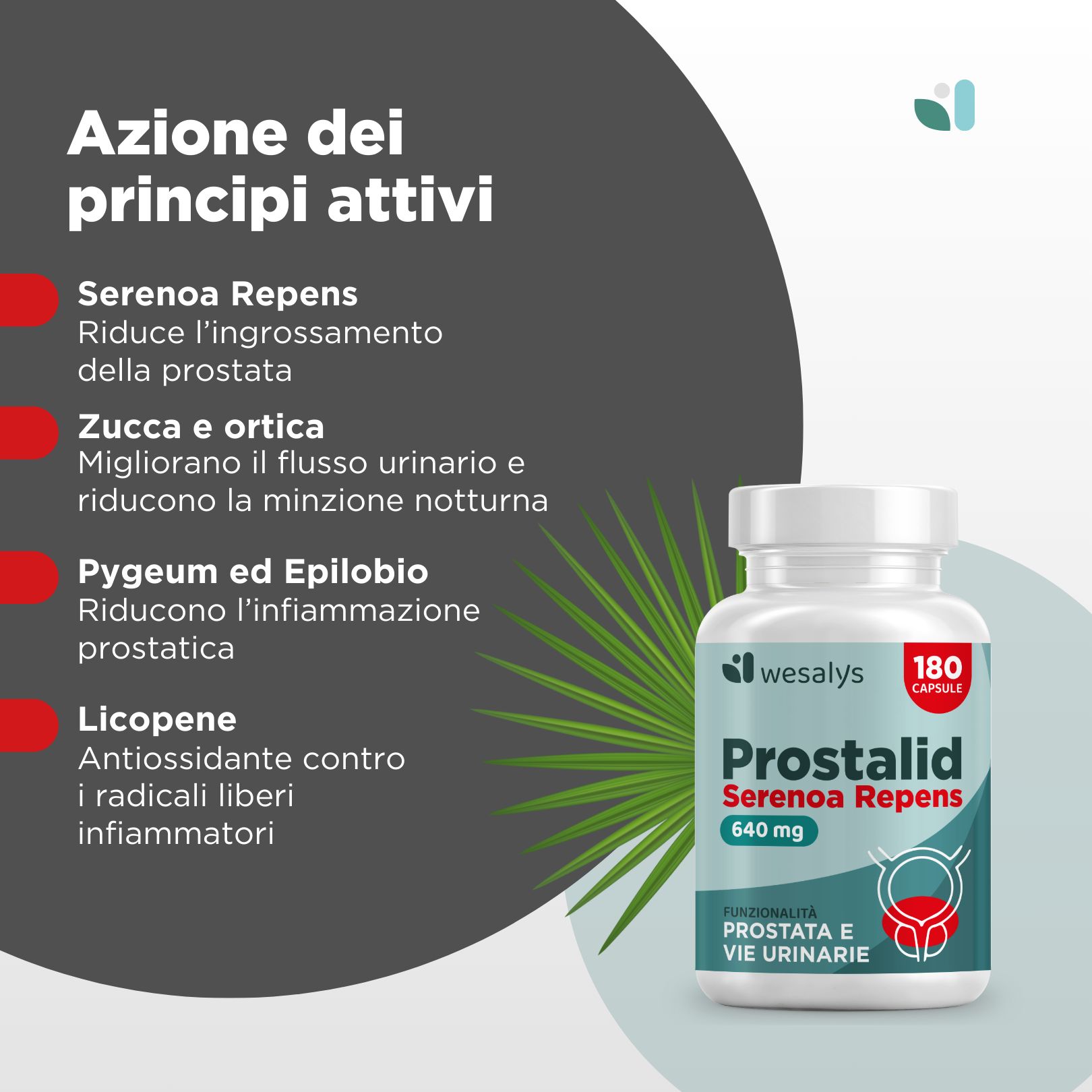Flacone di capsule con informazioni sul prodotto. Testo sugli ingredienti e i loro effetti. Logo e nome del prodotto visibili.