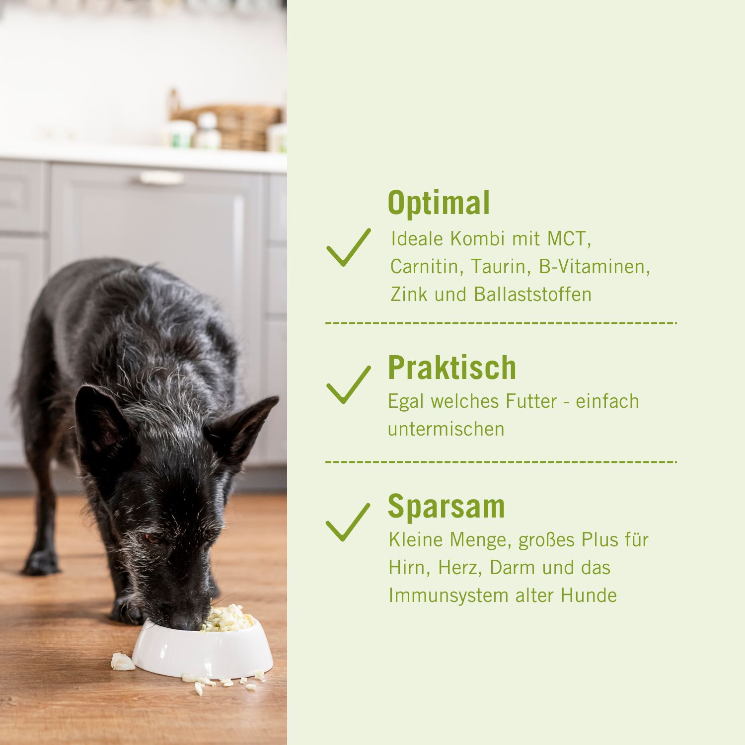 Futtermedicus Senior Plus