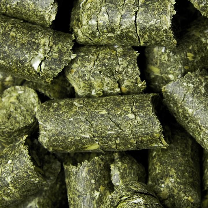 Grüne, zylindrische Pellets, vermutlich Tierfutter. Nahaufnahme, unregelmäßige Oberfläche.