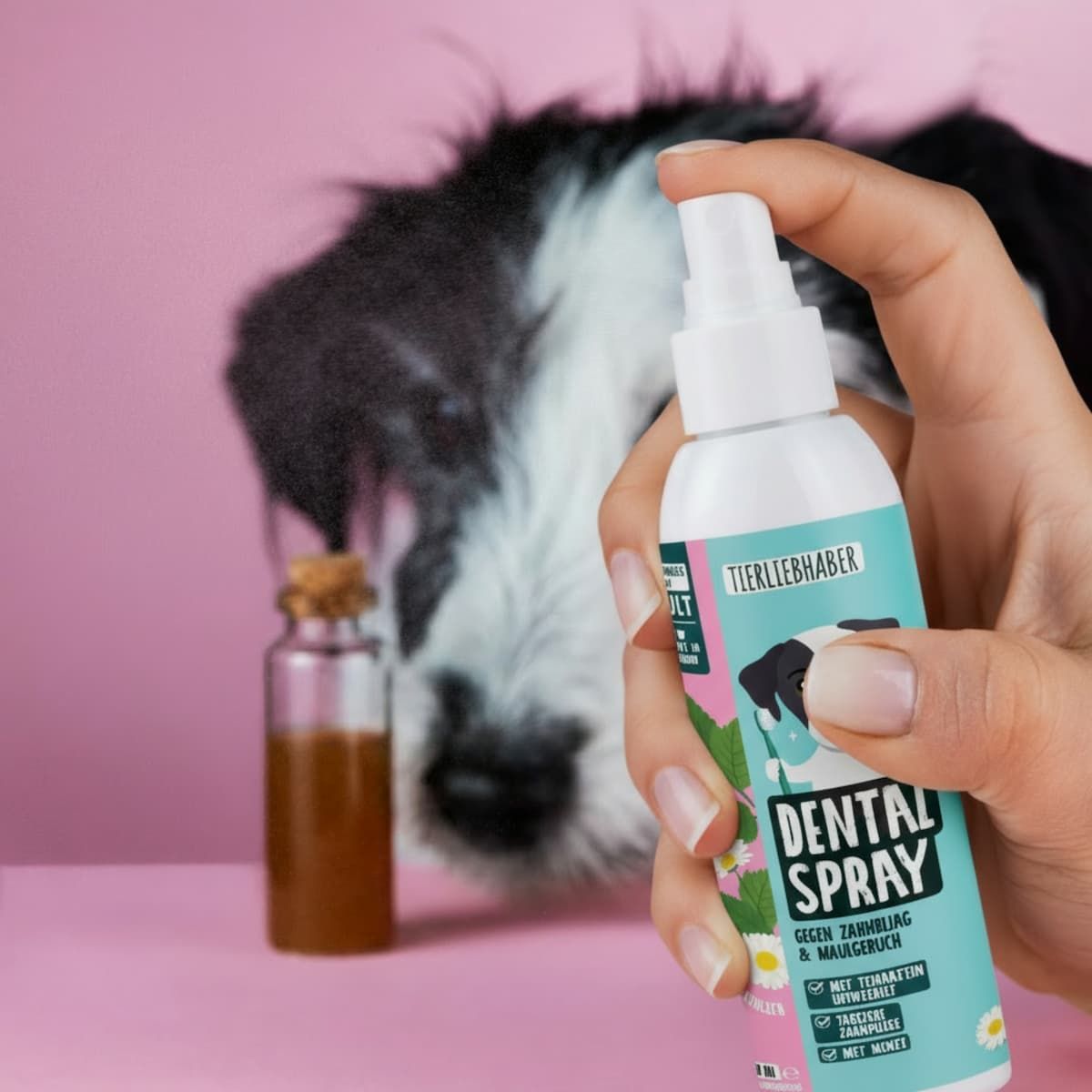 Hand hält Zahn-Spray. Hund und kleine Glasflasche im Hintergrund. Rosa Hintergrund.