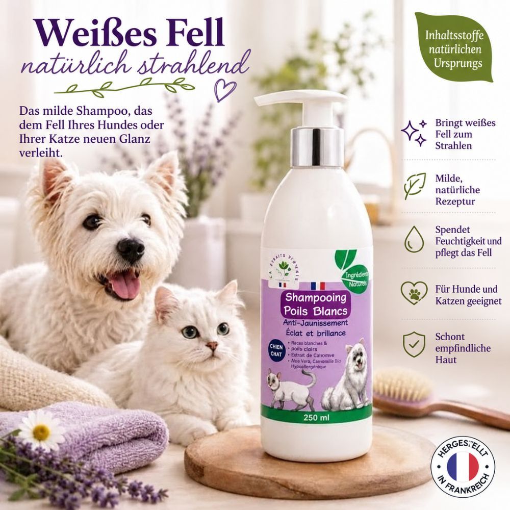 Flasche mit 250ml Hundeshampoo, natürliche Inhaltsstoffe, mit Aloe Vera und Pflanzenextrakten.