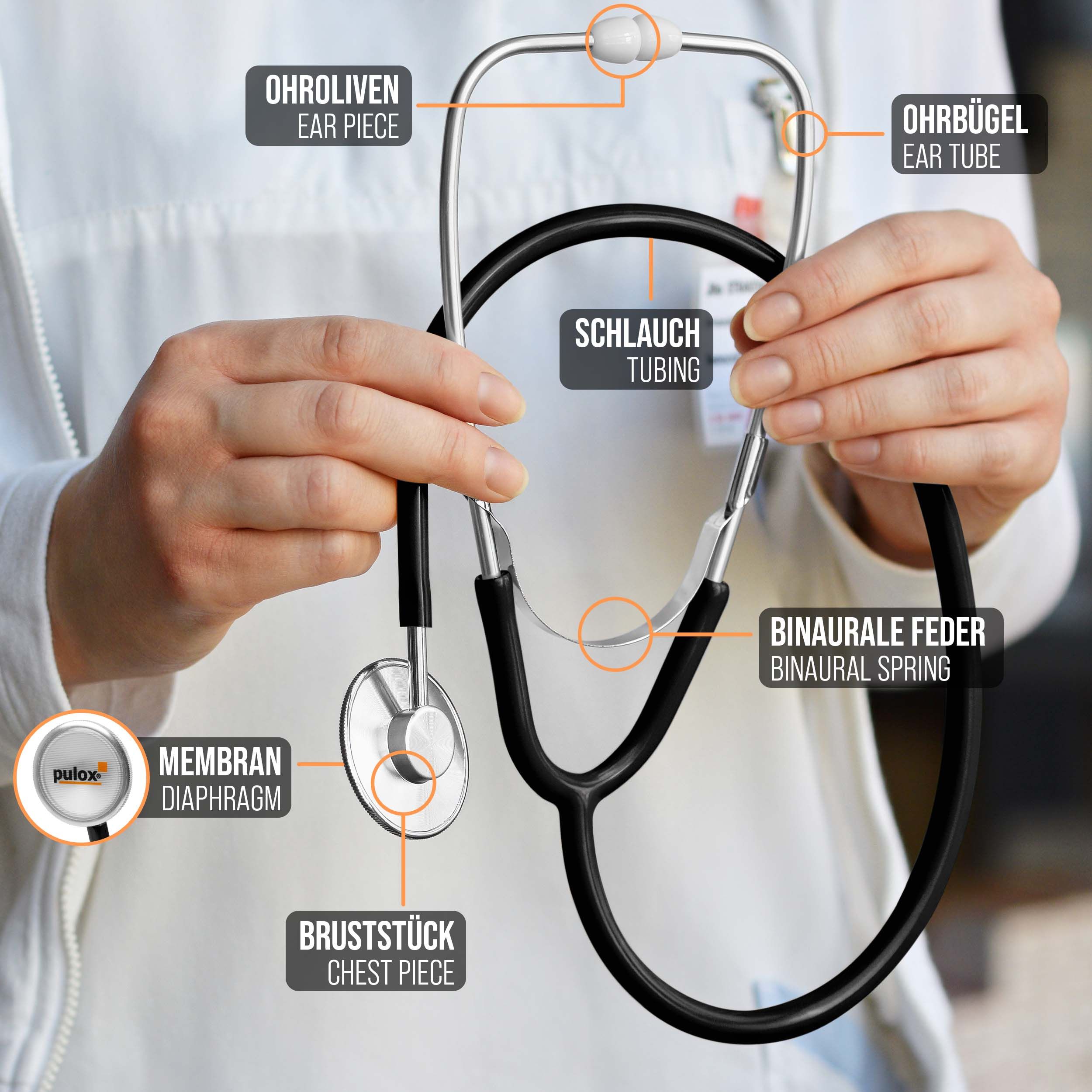 Stethoskop in Händen einer Person. Beschriftungen zeigen Teile: Ohrbügel, Schlauch, Bruststück, Membran.