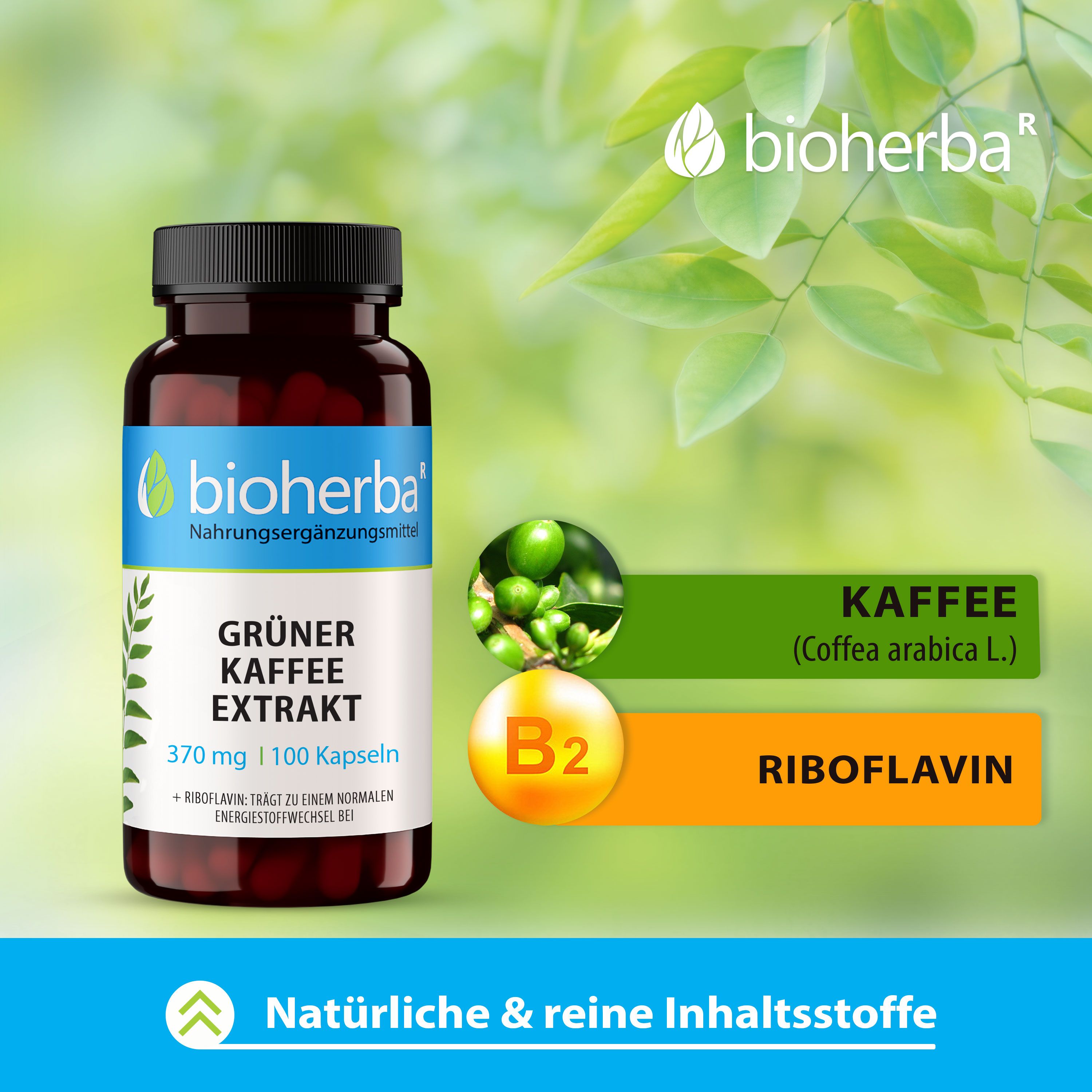 Bioherba Flasche mit grünem Kaffee Extrakt, 370 mg, 100 Kapseln. Enthält Kaffeeextrakt und Riboflavin (B2).