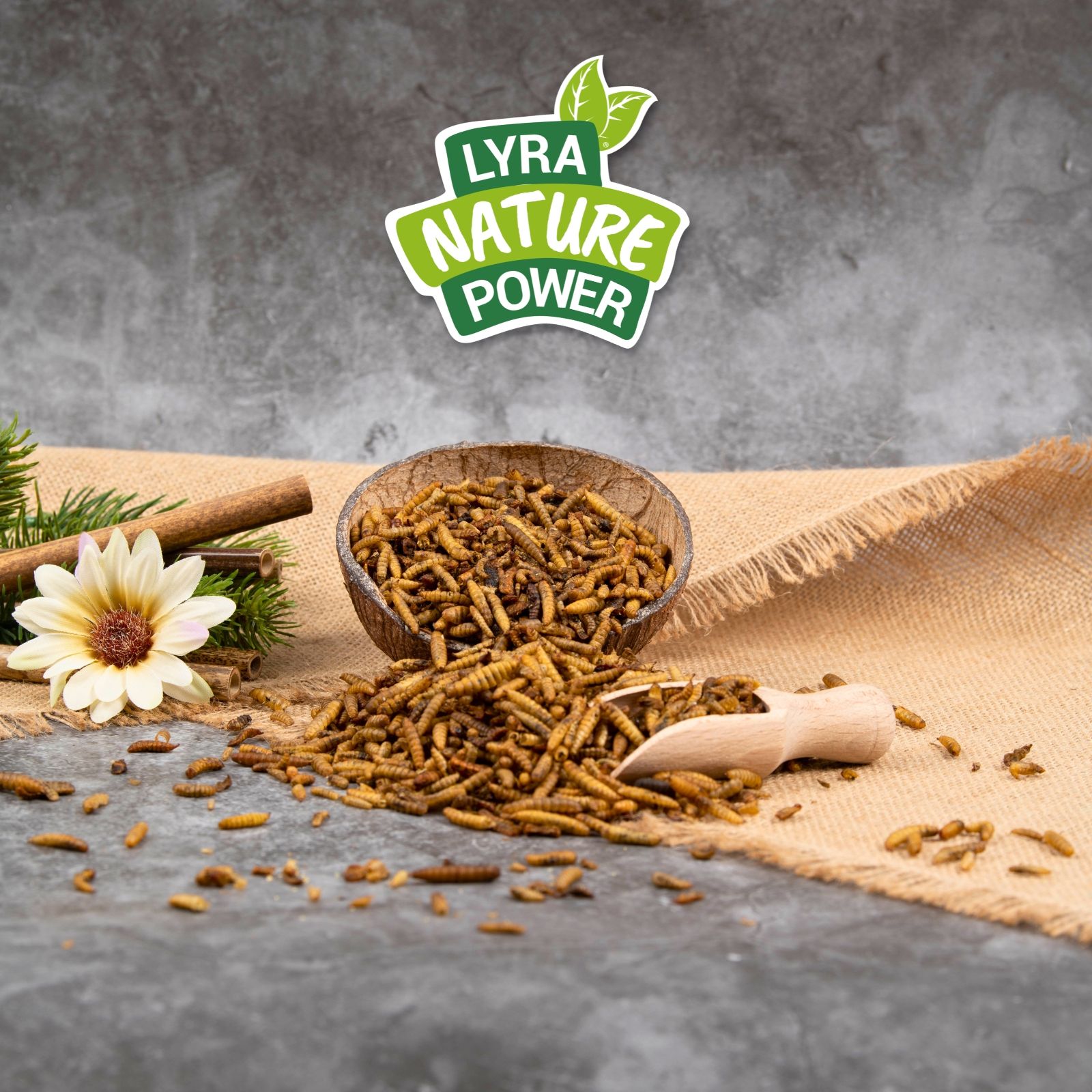 Lyra Pet® Soldatenfliegenlarven