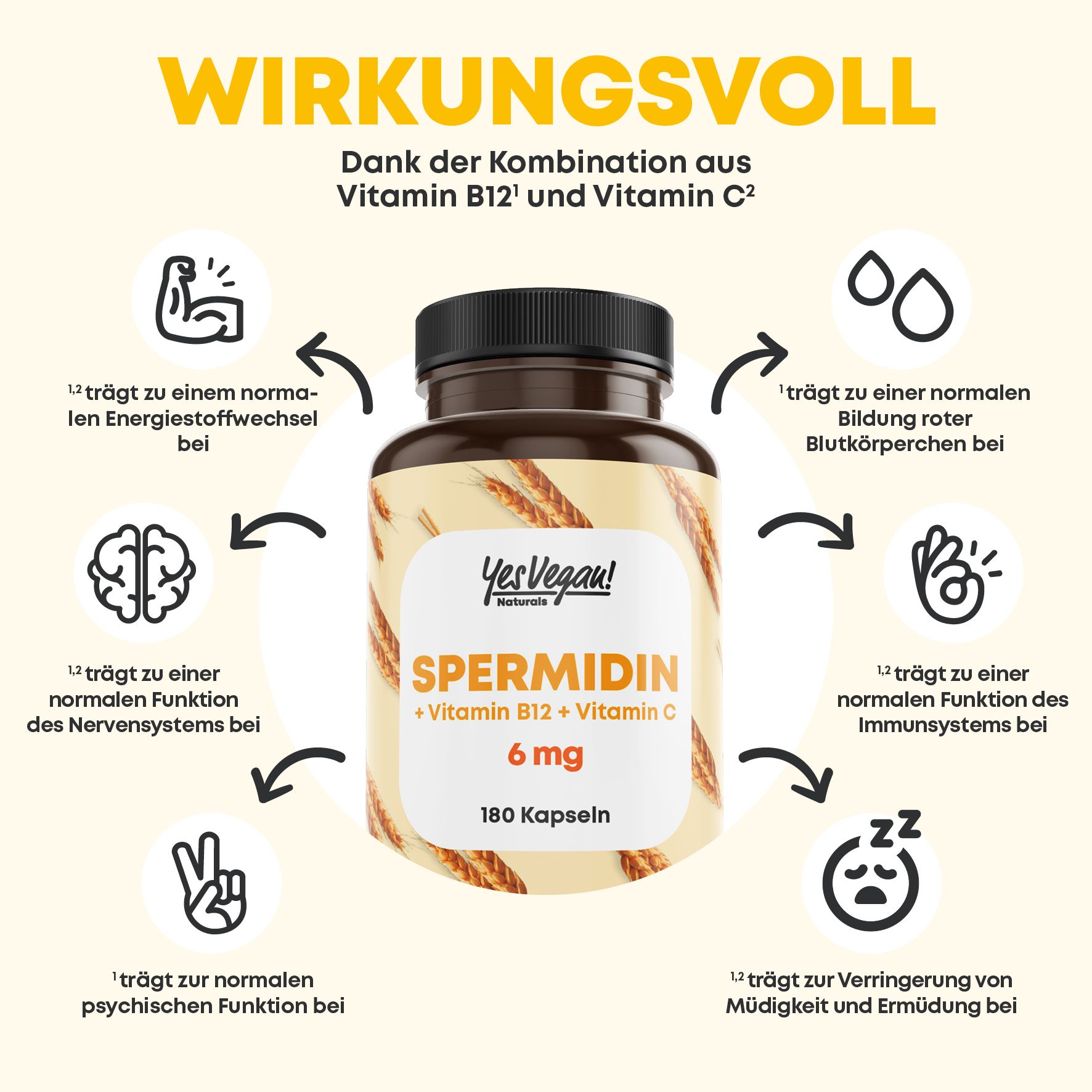 Grafik mit Flasche und Icons. Text: Spermidin + Vitamin B12 + Vitamin C, 6 mg, 180 Kapseln. Wirkungsvoll.
