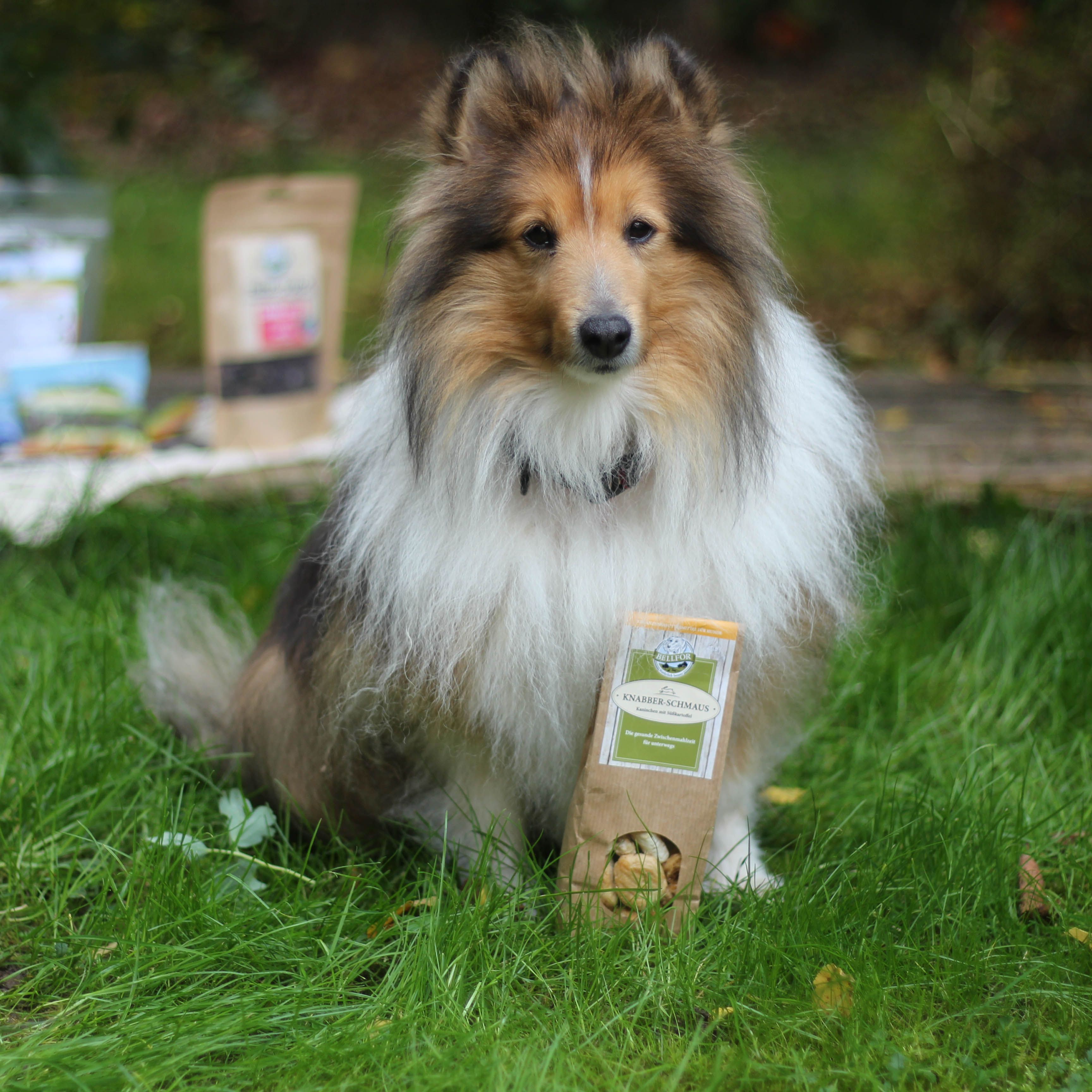 Bellfor Hundekekse mit frischem Kaninchenfleisch - Knabber-Schmaus