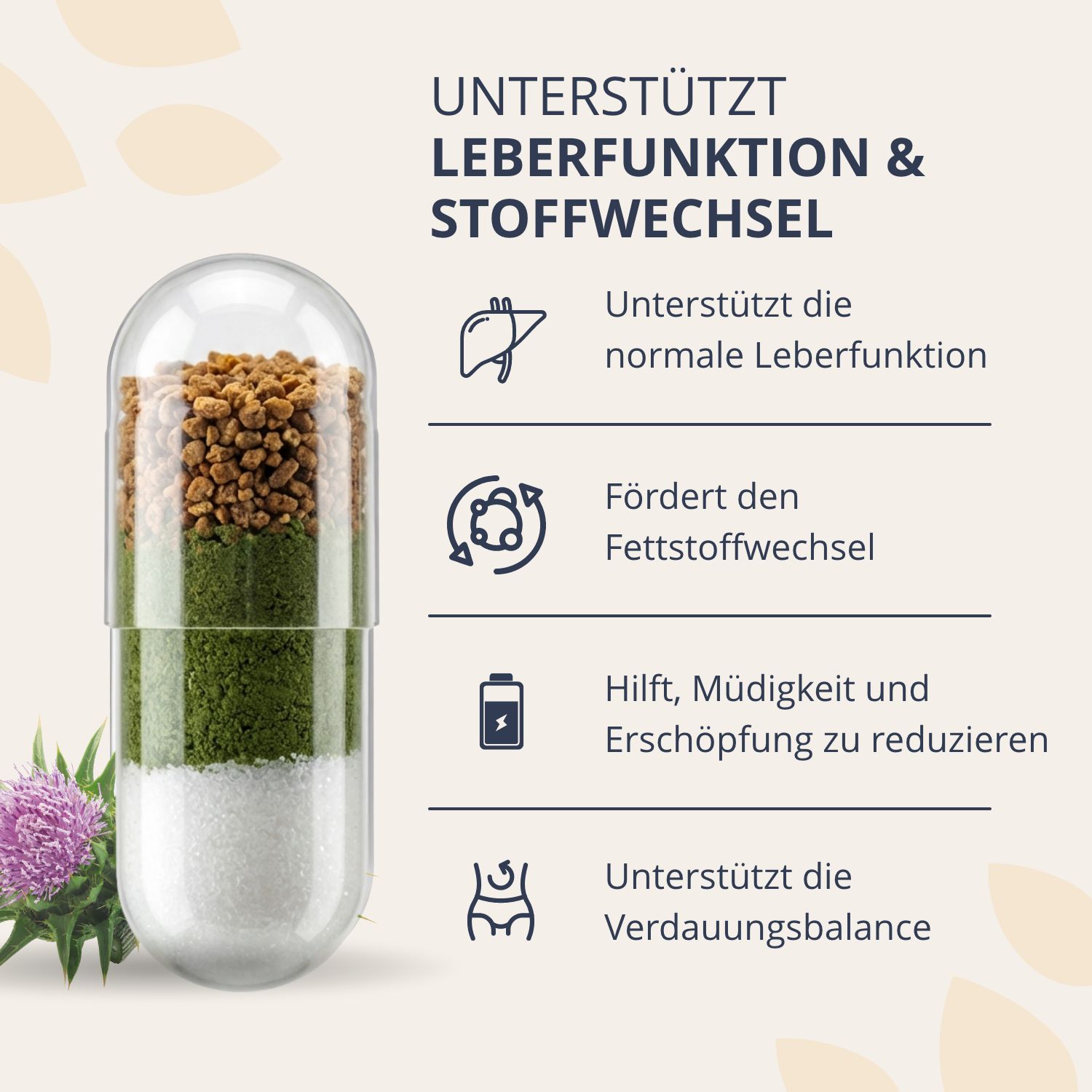 Detailansicht einer Kapsel Golden Tree Liver Complex, die Schichten von Inhaltsstoffen wie Mariendistel zeigt.