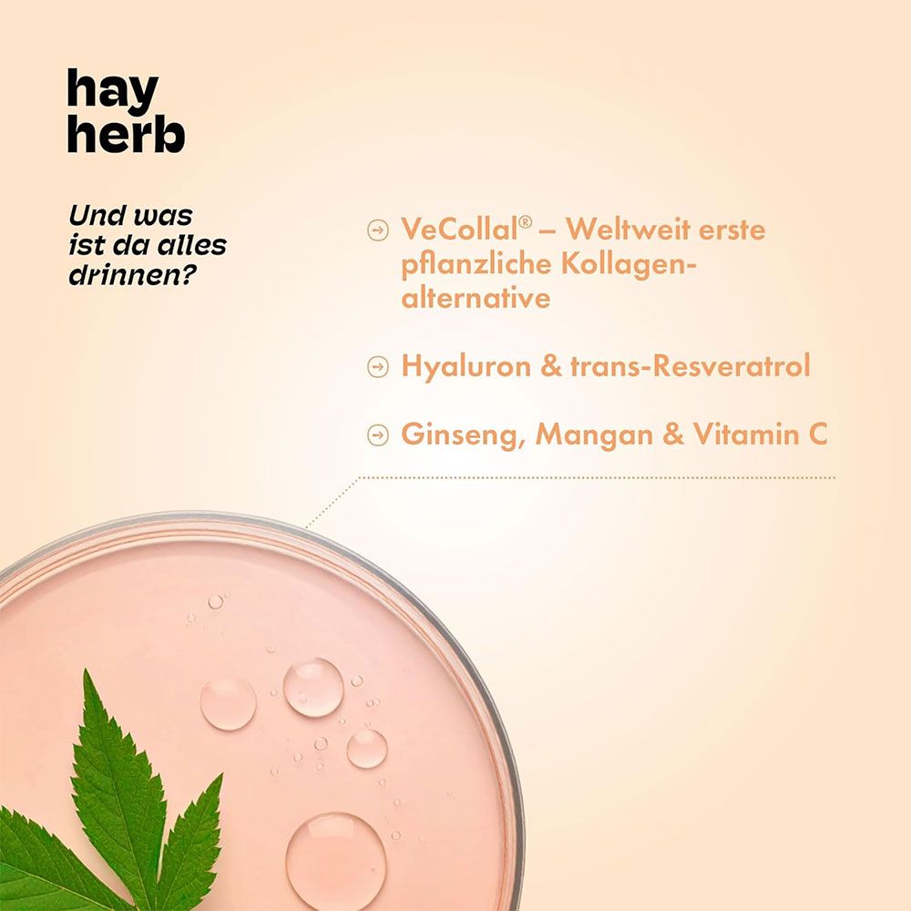 Petrischale mit Flüssigkeit und Blatt. Text: VeCollal, Hyaluron & trans-Resveratrol, Ginseng, Mangan & Vitamin C. Hintergrund: hellorange.