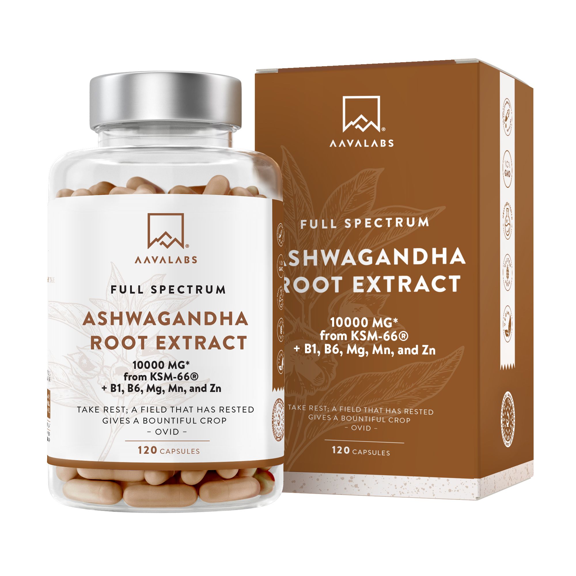 Capsule marroni in flacone trasparente e scatola marrone. Scritta: Aavalabs, Ashwagandha Root Extract, 10000 mg.