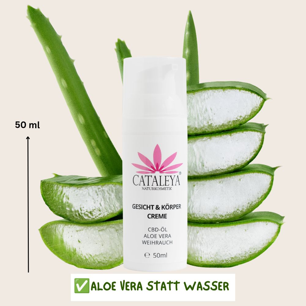 CATALEYA CBD Gesichts- & Körpercreme: Aloe Vera statt Wasser. 50ml Spender neben Aloe Vera Scheiben.