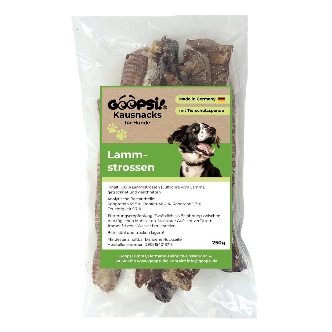 Hund kaut auf einem Lammlachs-Snack.