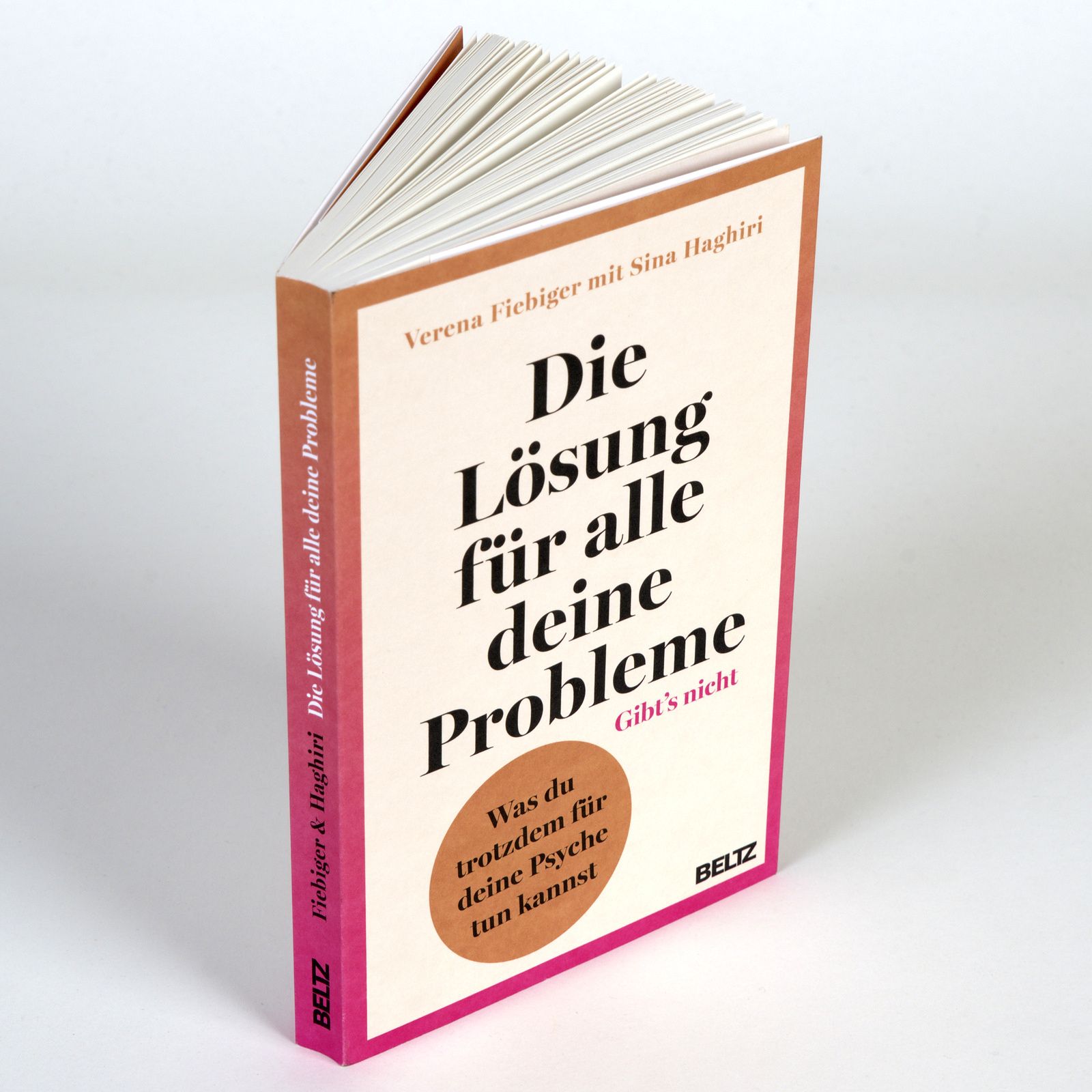 Buch, halb geöffnet. Titel "Die Lösung für alle deine Probleme". Autoren: Verena Fiebiger, Sina Hagiri. Verlag: BELTZ. Buchrücken sichtbar.