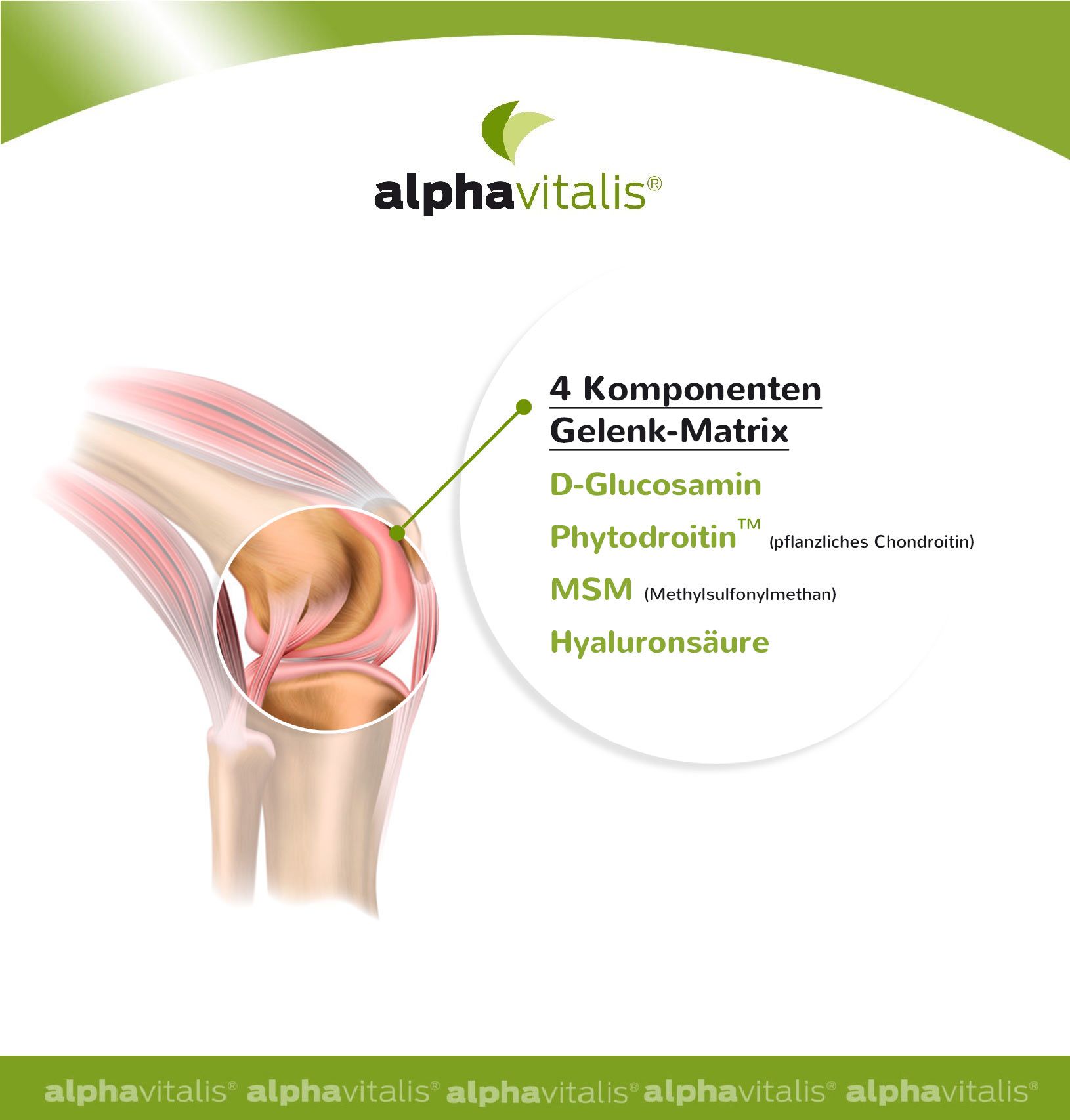 Alphavitalis® Glucosamin Kapseln mit Chondroitin MSM Hyaluron