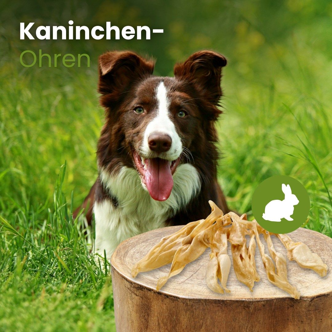 Getrocknete Kaninchenohren für Hunde, auf einem Holzstamm mit einem Hund im Hintergrund.