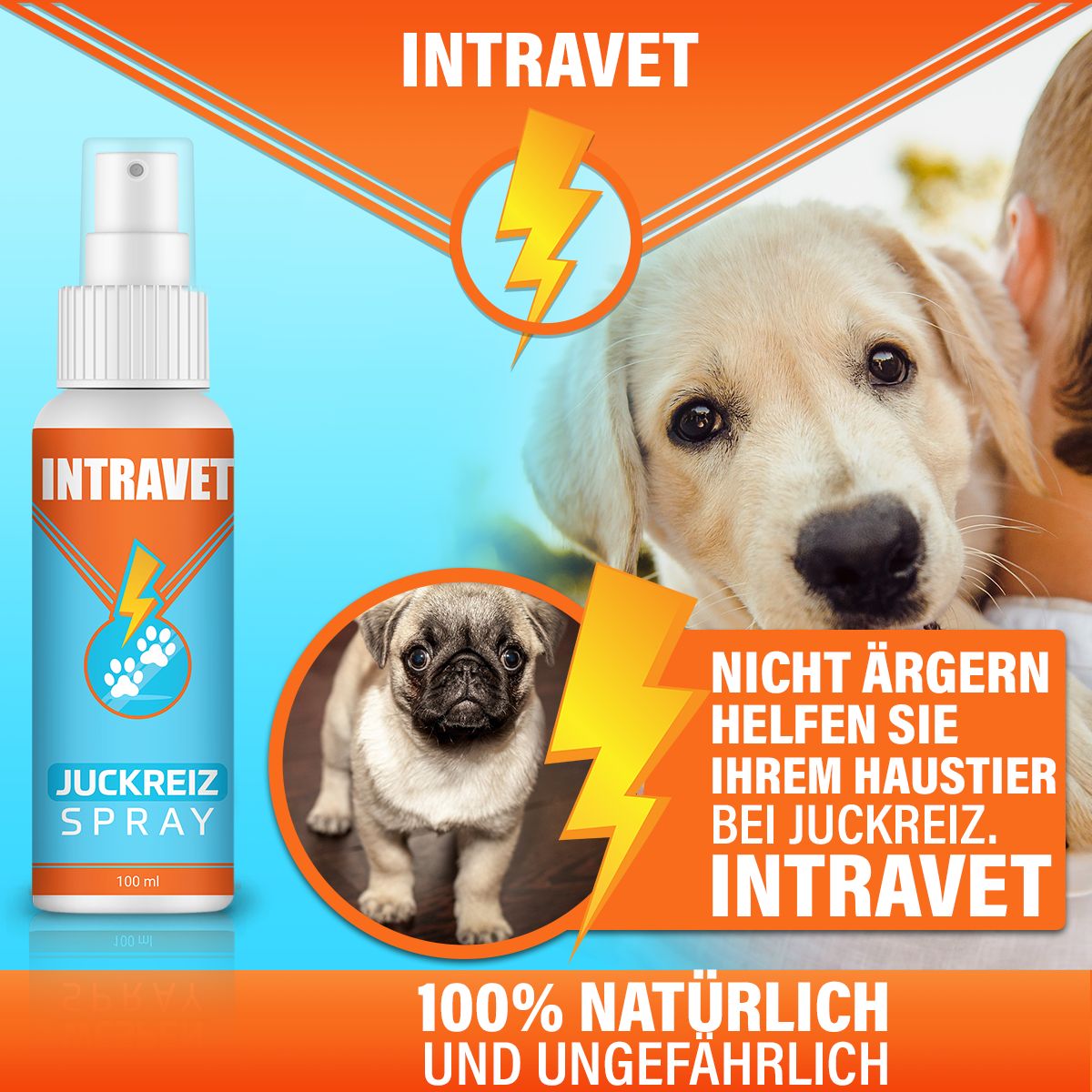 Intravet® | Juckreiz Spray für Hund und Katze