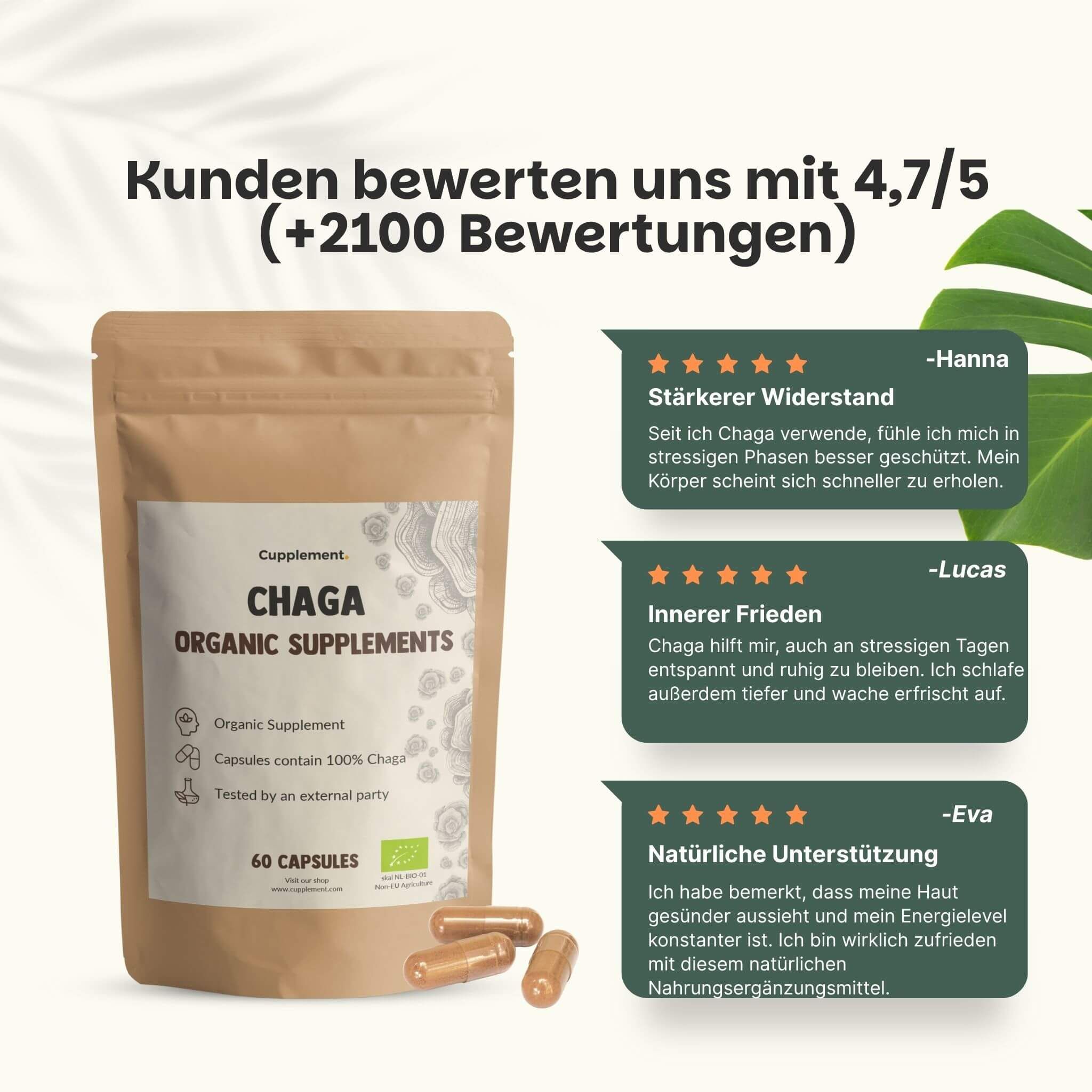 Beutel Cupplement Chaga 500 mg BIO und Kapseln. Kundenbewertung 4,7/5. Zitate von Kunden.