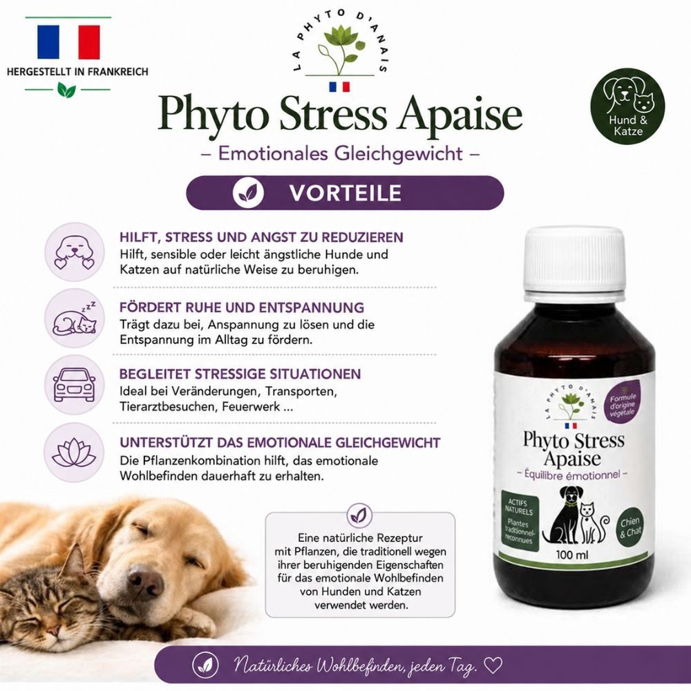 Phyto Stress Apaise Flasche mit 250ml, für Hunde und Katzen, zur emotionalen Balance.