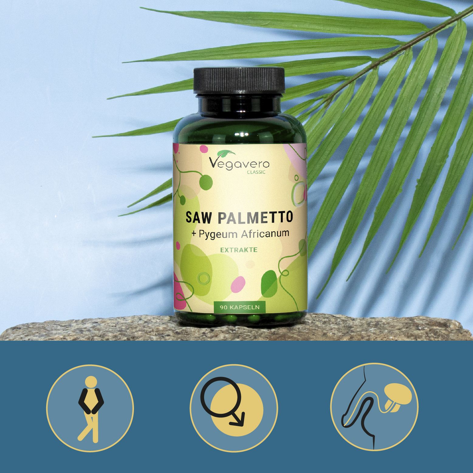 Produktflasche vor Palmenblatt. Aufschrift: SAW PALMETTO + Pygeum Africanum. Vegavaro Classic. 90 Kapseln.