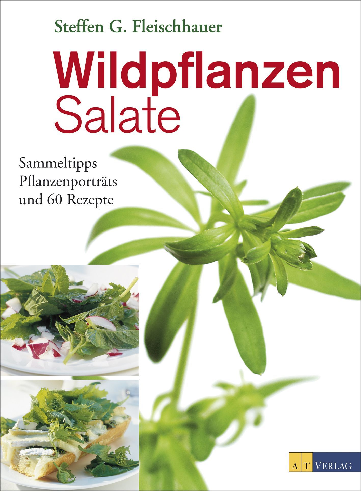 Buchcover mit dem Titel "Wildpflanzen Salate". Autor: Steffen G. Fleischhauer. Enthält Sammeltipps, Pflanzenporträts und 60 Rezepte.
