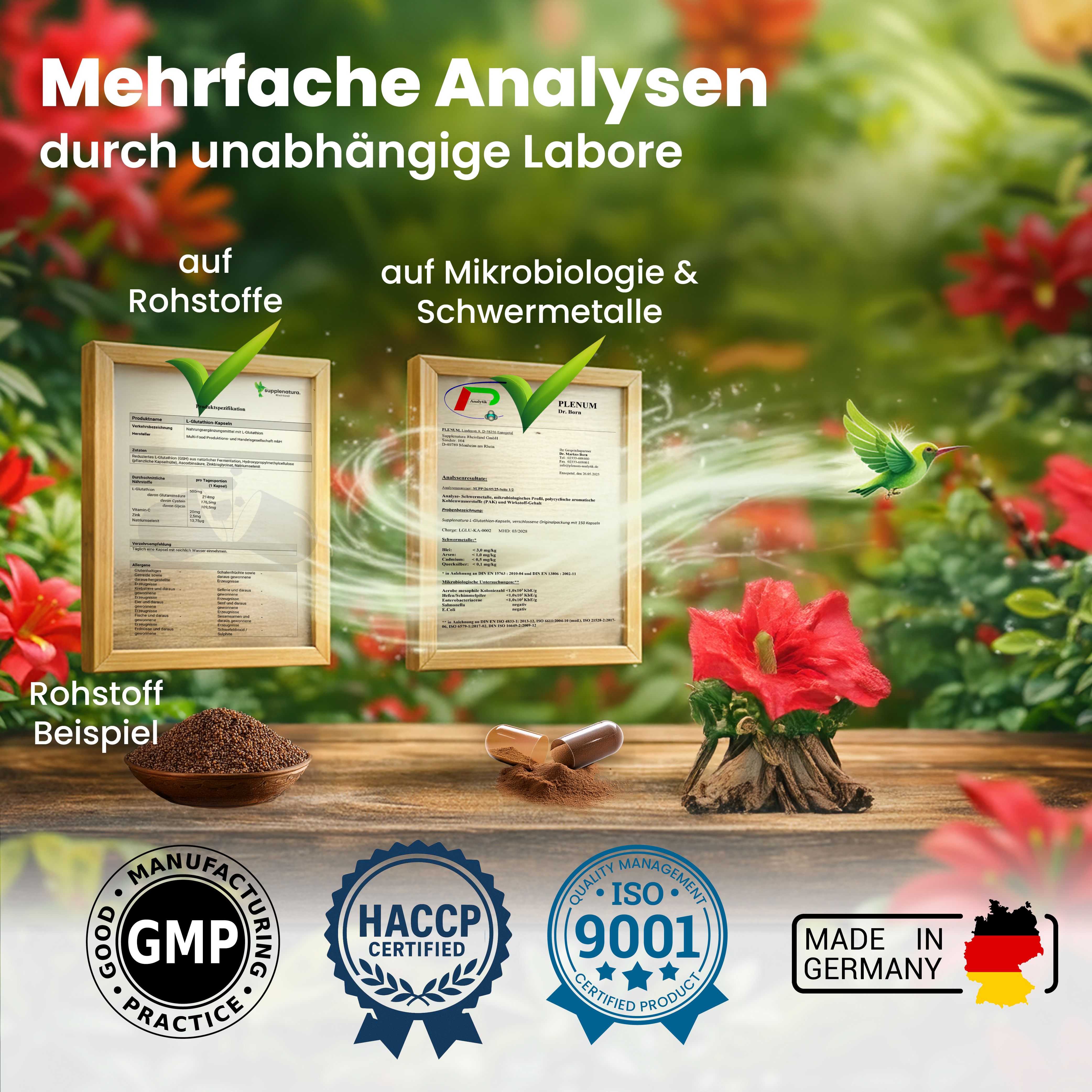 Zwei Zertifikate mit grünen Häkchen. Aufschrift: GMP, HACCP, ISO 9001, Made in Germany. Daneben Kapseln und Rohstoffbeispiel.