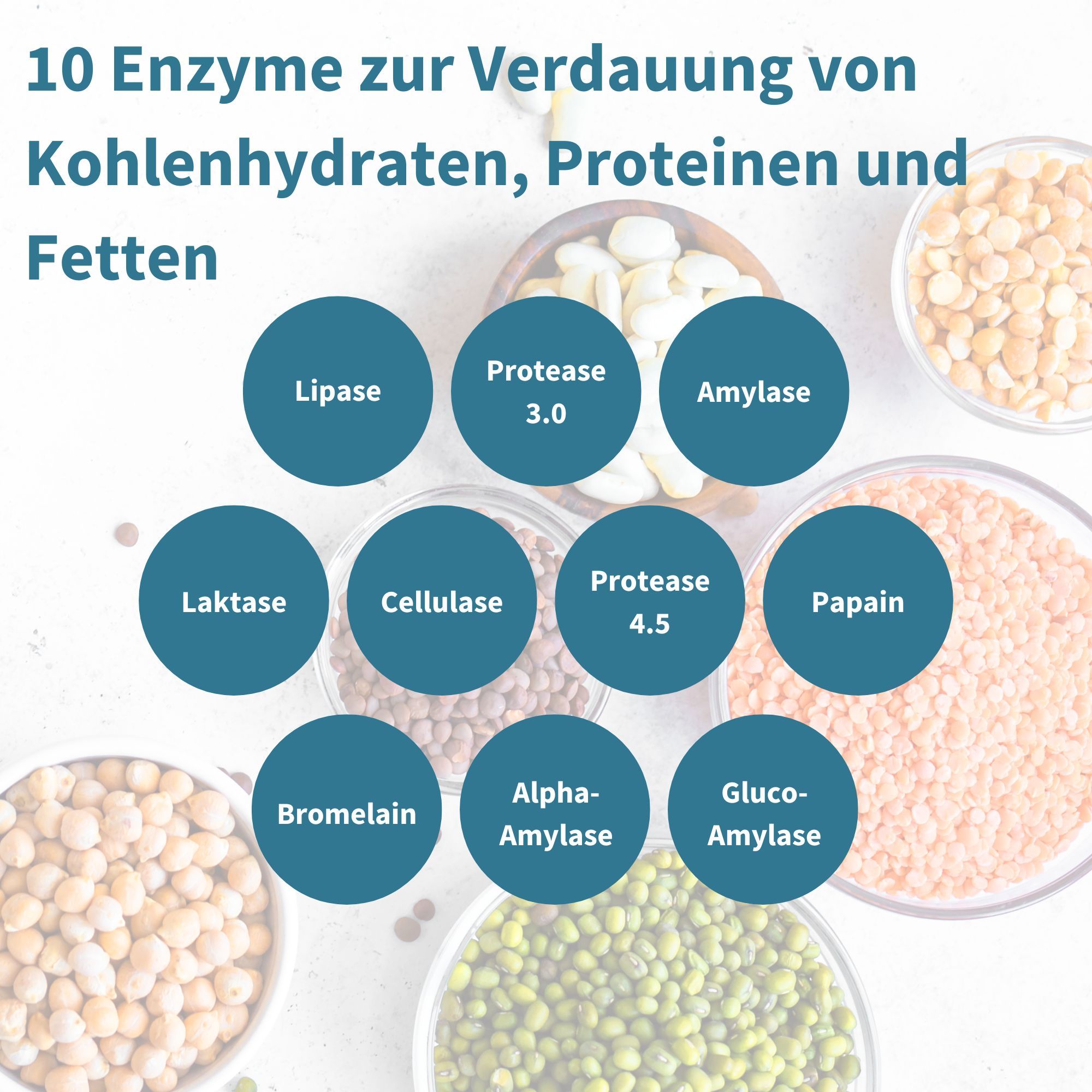 Igennus Verdauungsenzyme Komplex