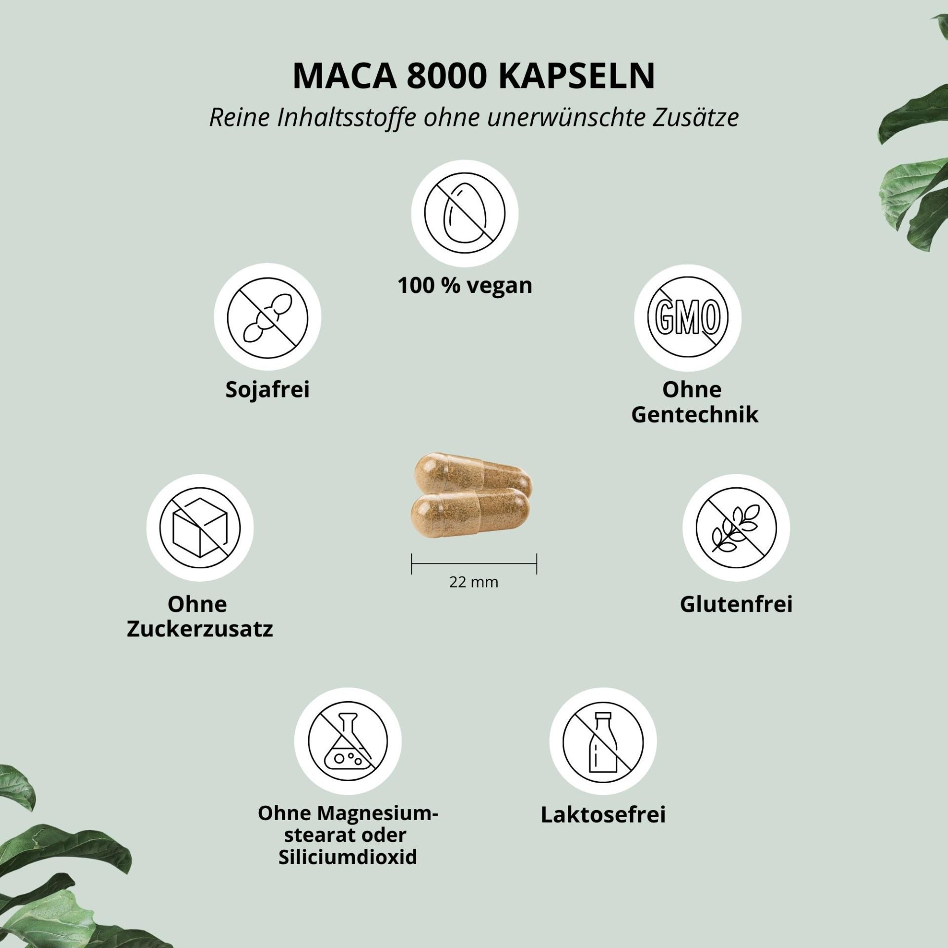 Nutri+ Maca 8000 60 St Kapseln