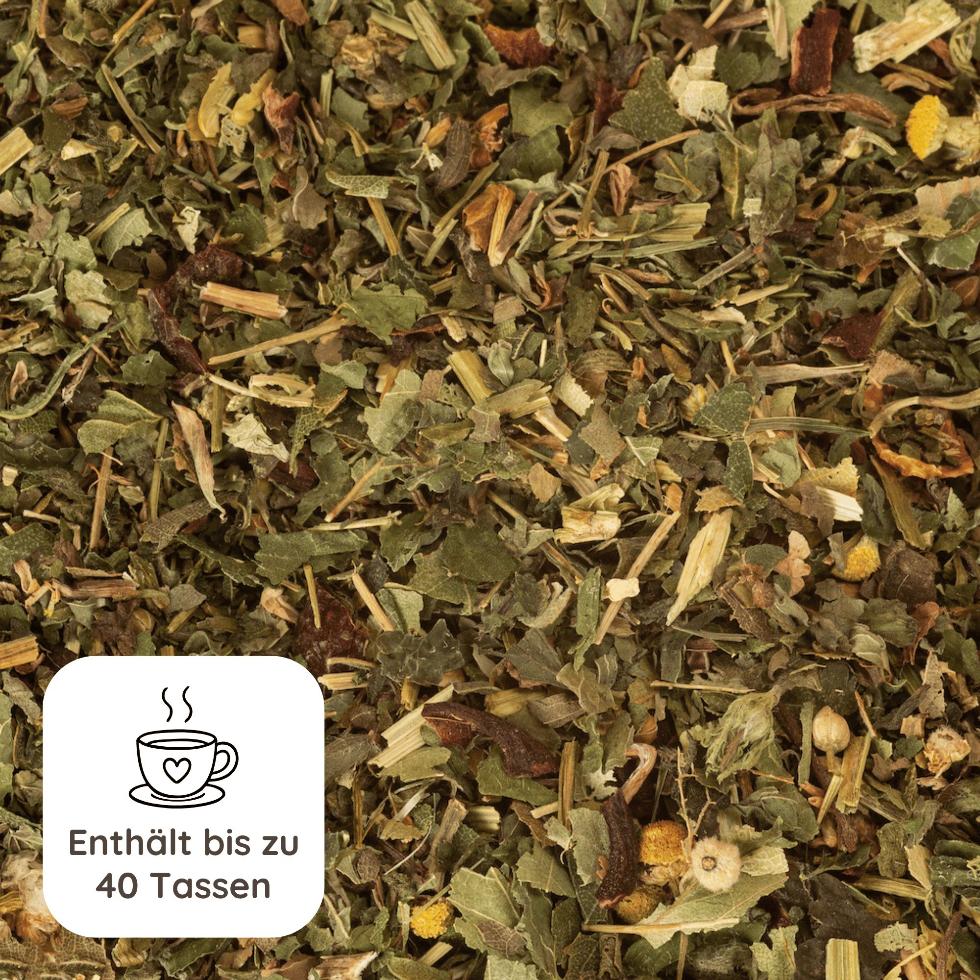 Schlosskräuter Stoffwechseltee mit Brennnessel | Brennnesseltee 100% Natürlich