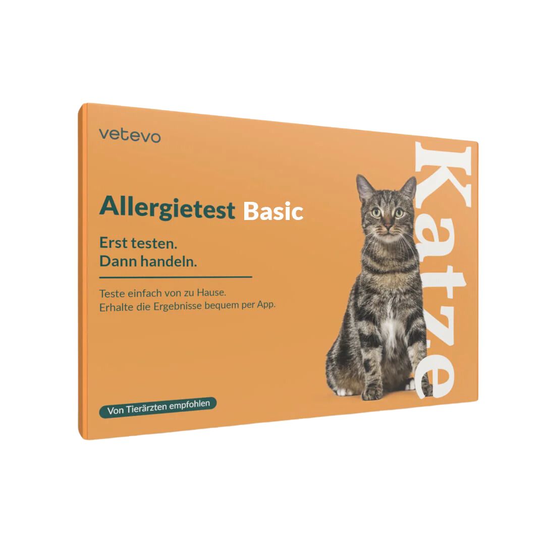 Allergietest Basic Katze