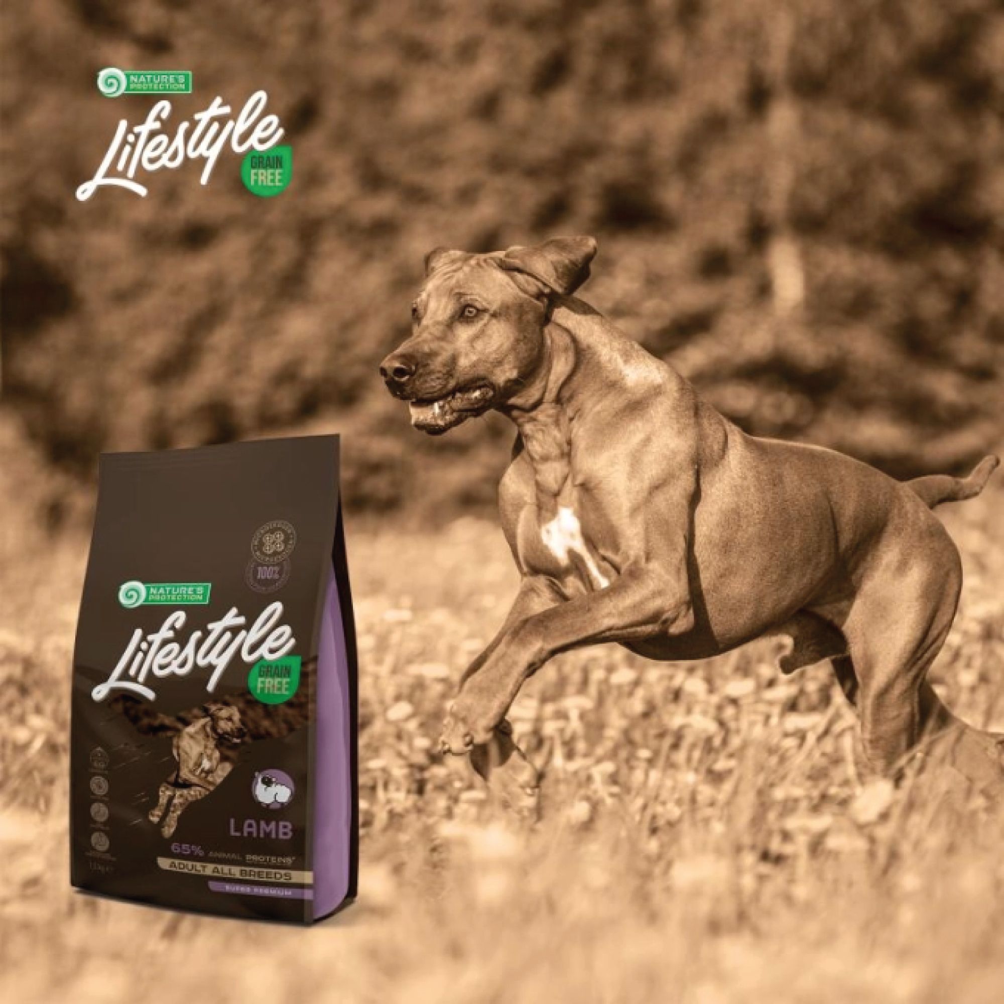 Produktabbildung mit Hund im Freien. Braune Tüte mit Aufschrift Lifestyle, Grain Free, Lamb. Hund rennt im Gras.