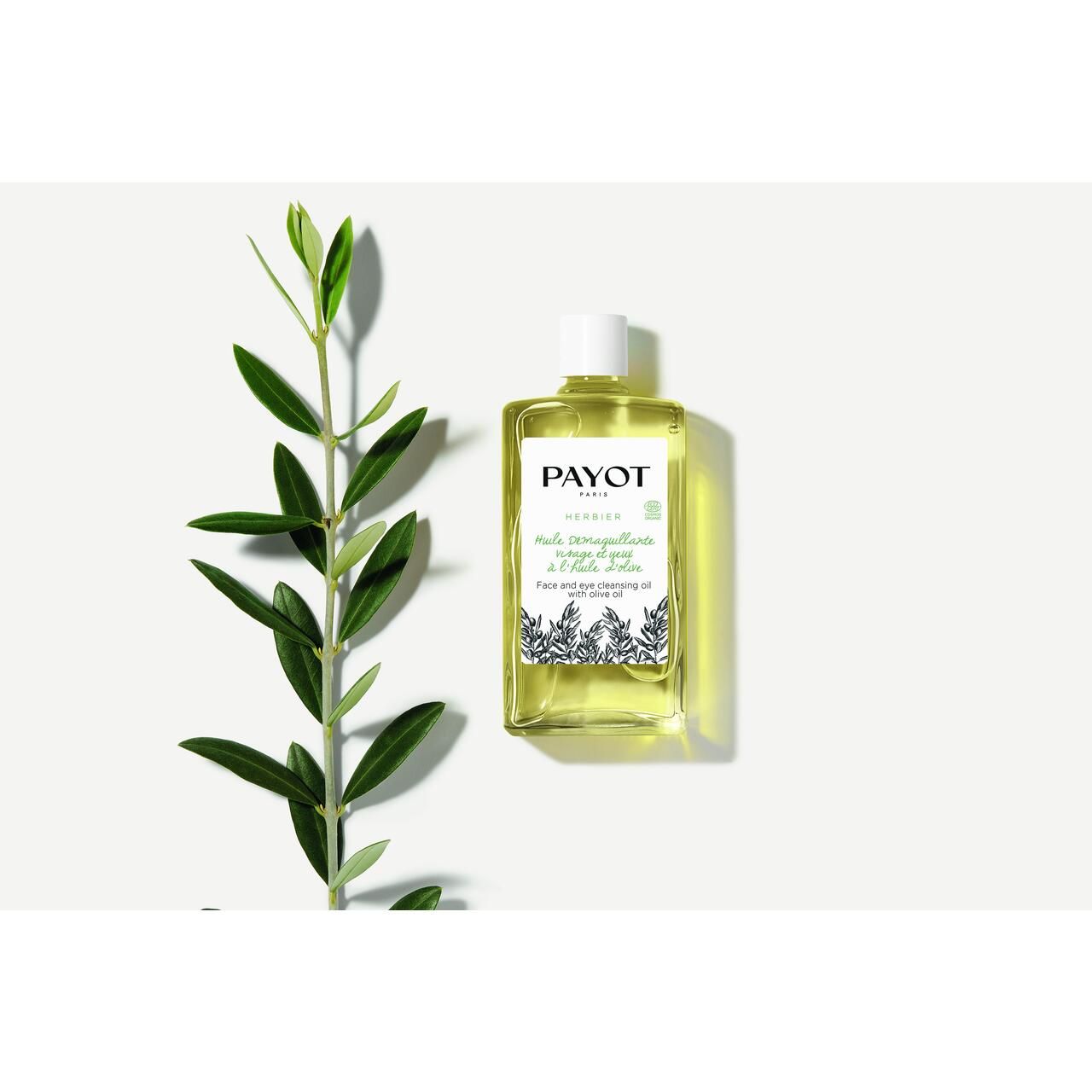 Payot Herbier Ölflasche mit Olivenzweig. Rechteckige Flasche, weißer Deckel. Etikett mit Text. Klarer Inhalt. Auf weißem Hintergrund.