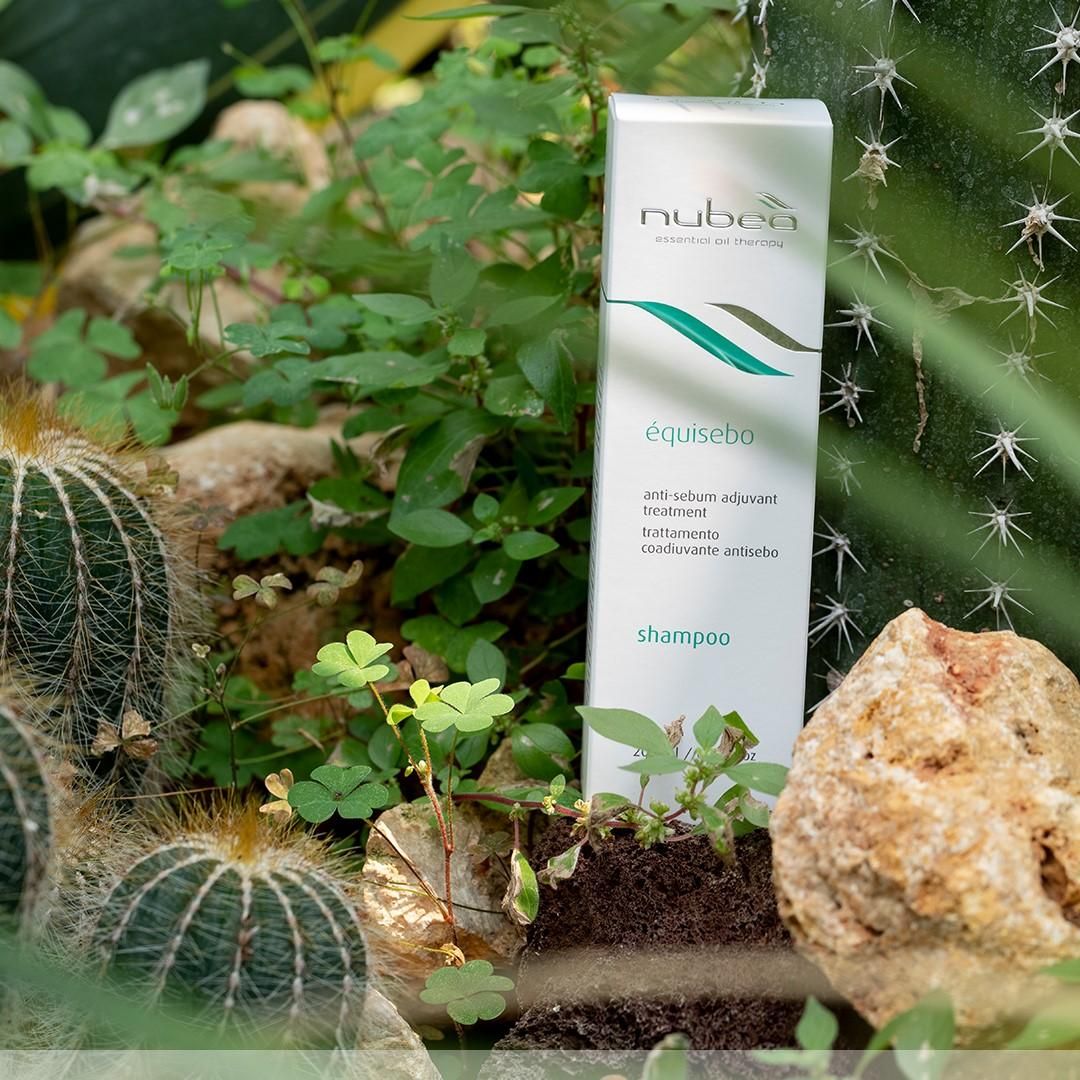 Haarshampoo Équisebo Anti-Talg-Shampoo