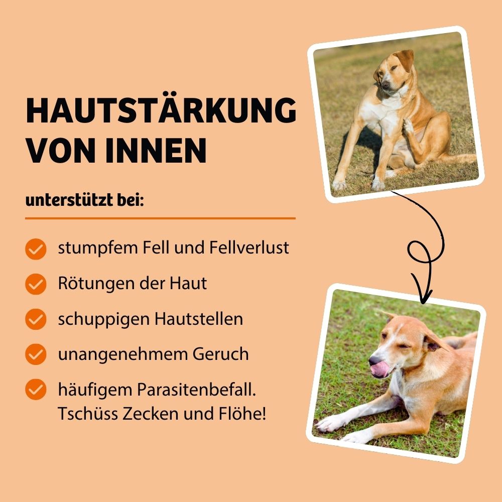 BugBell Trockenfutter SkinHero - Fellpflege & Parasitenabwehr