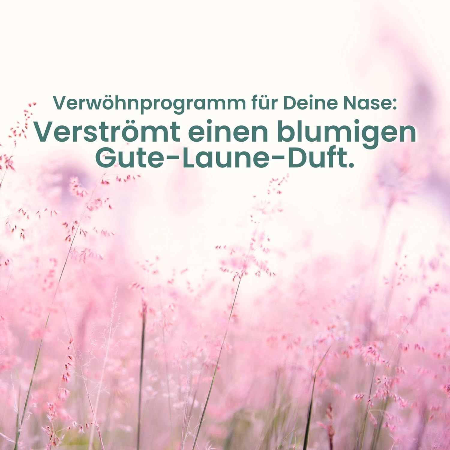 Rosa Blüten vor verschwommenem Hintergrund. Text: "Verströmt einen blumigen Gute-Laune-Duft."