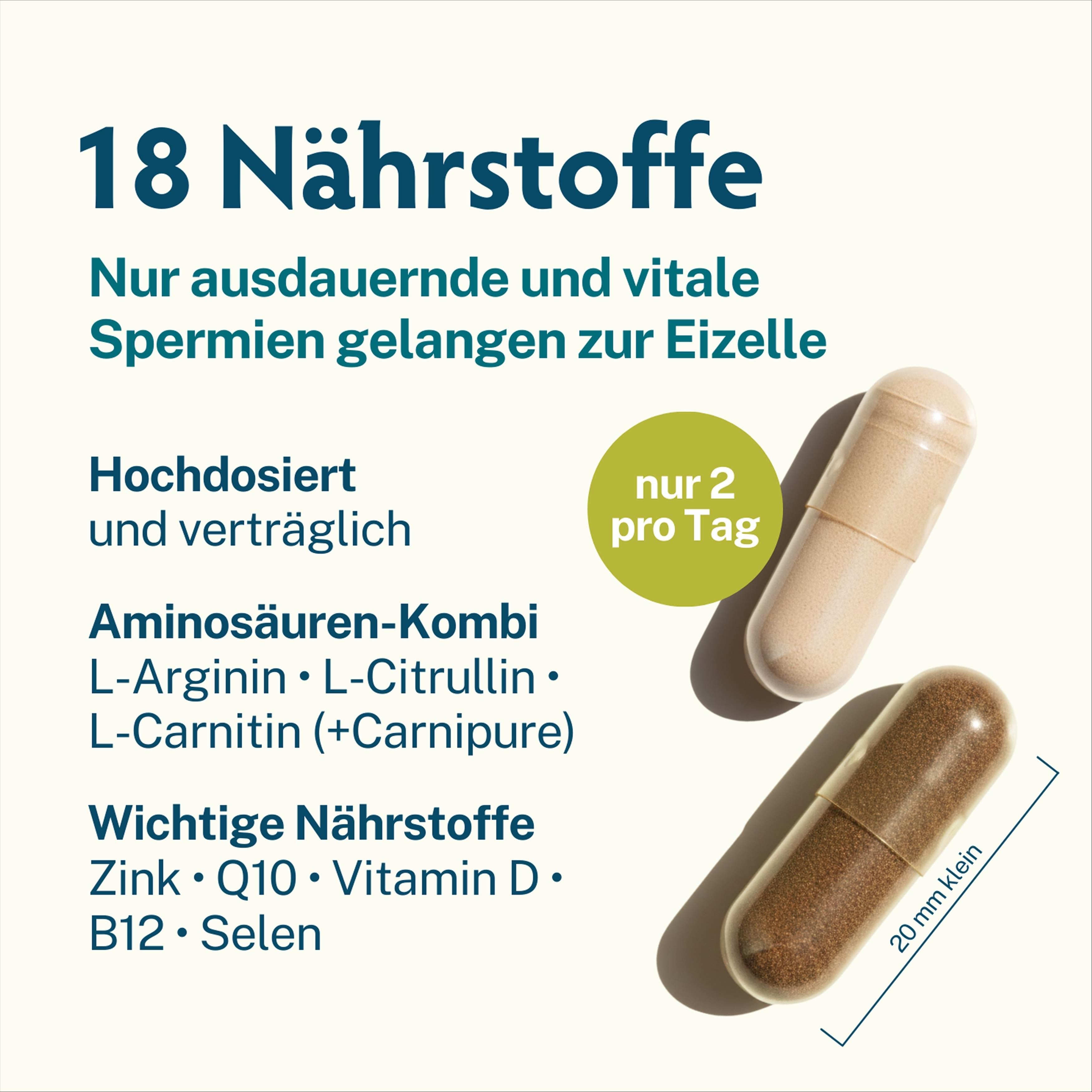 Zwei Kapseln. Text: 18 Nährstoffe, Aminosäuren-Kombi, Zink, Q10, Vitamin D, B12, Selen. 20 mm.