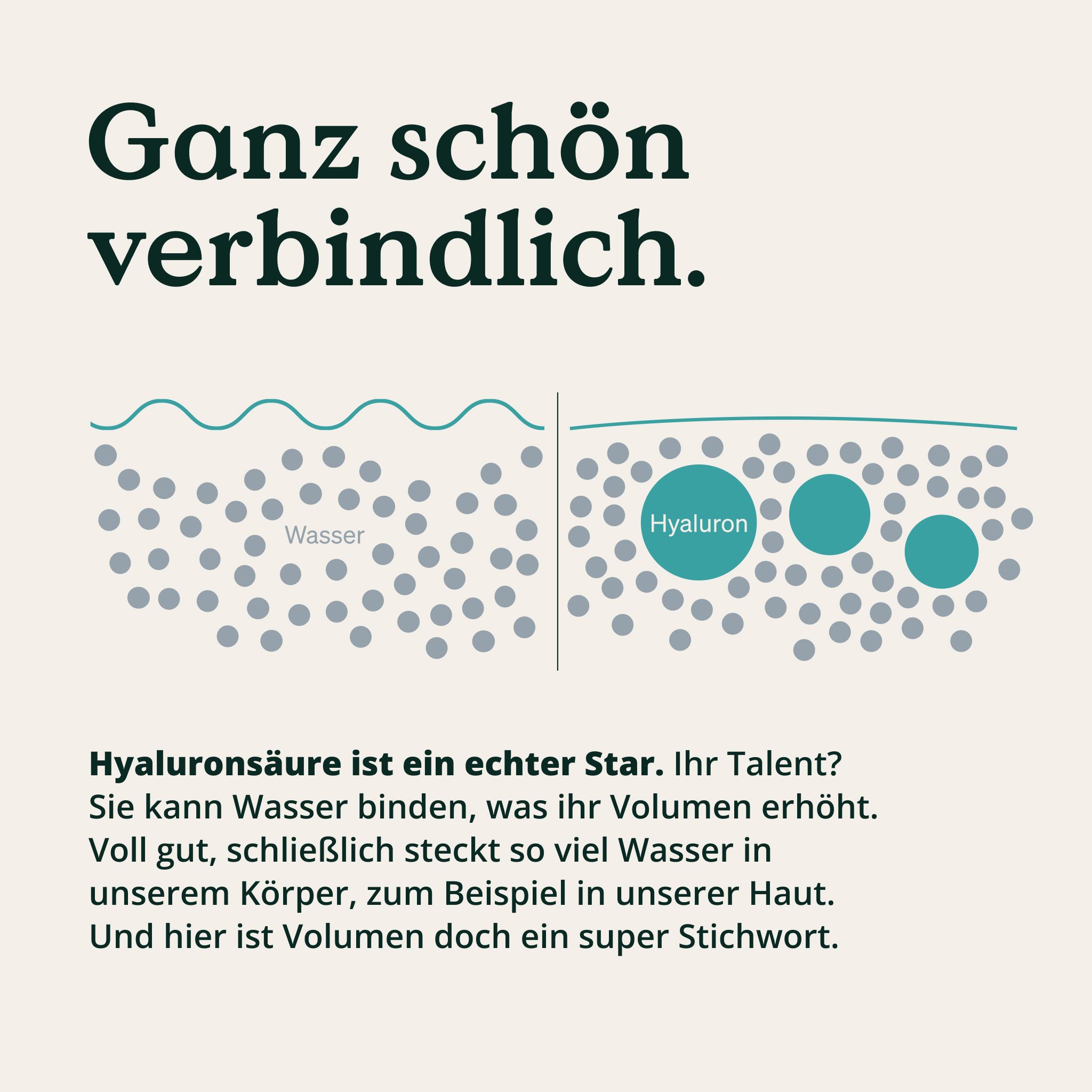 Grafische Darstellung: Wasser und Hyaluron. Text: Hyaluronsäure bindet Wasser, erhöht Volumen. Illustration von Haut.