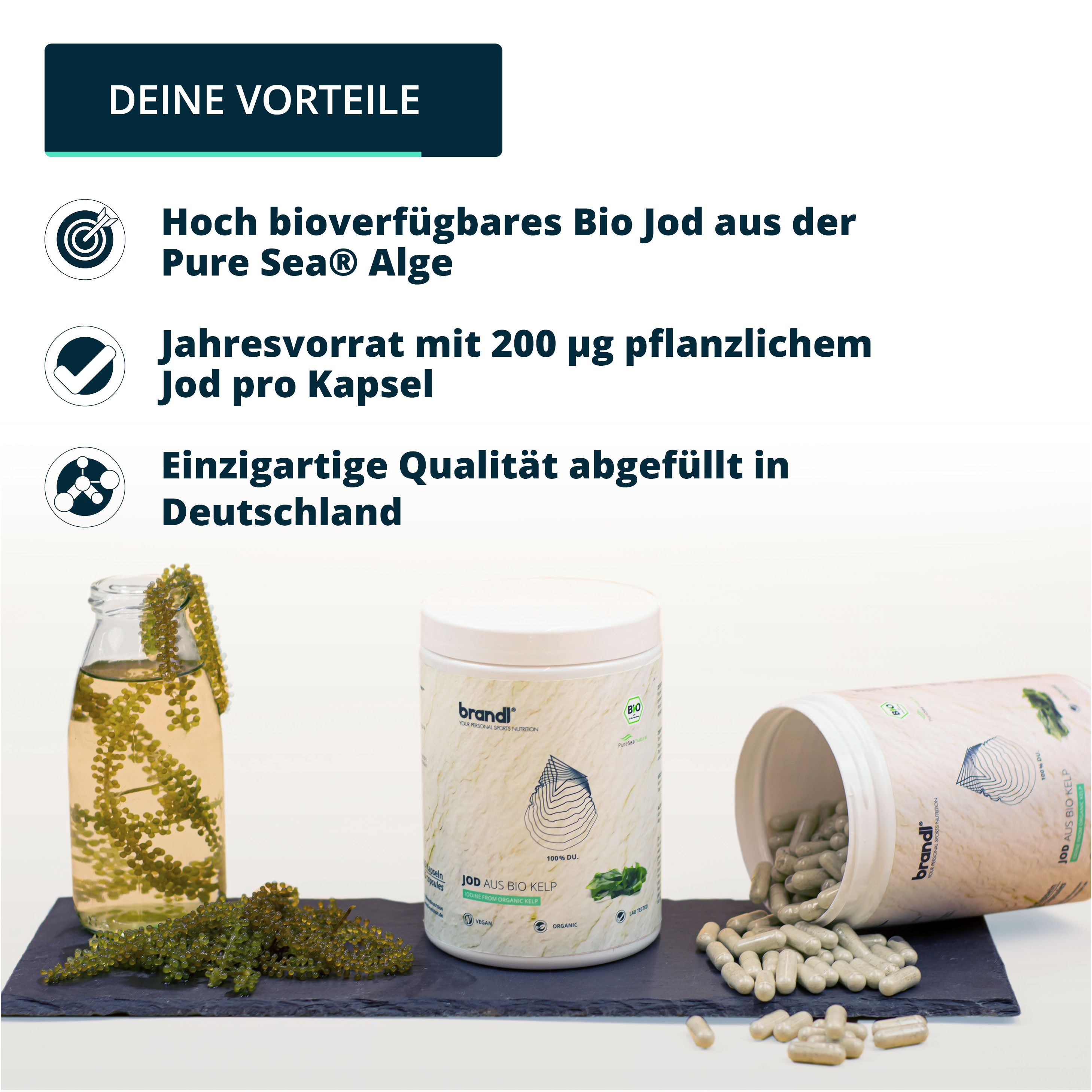 brandl® Jod aus Bio Kelp Algen von PureSea®